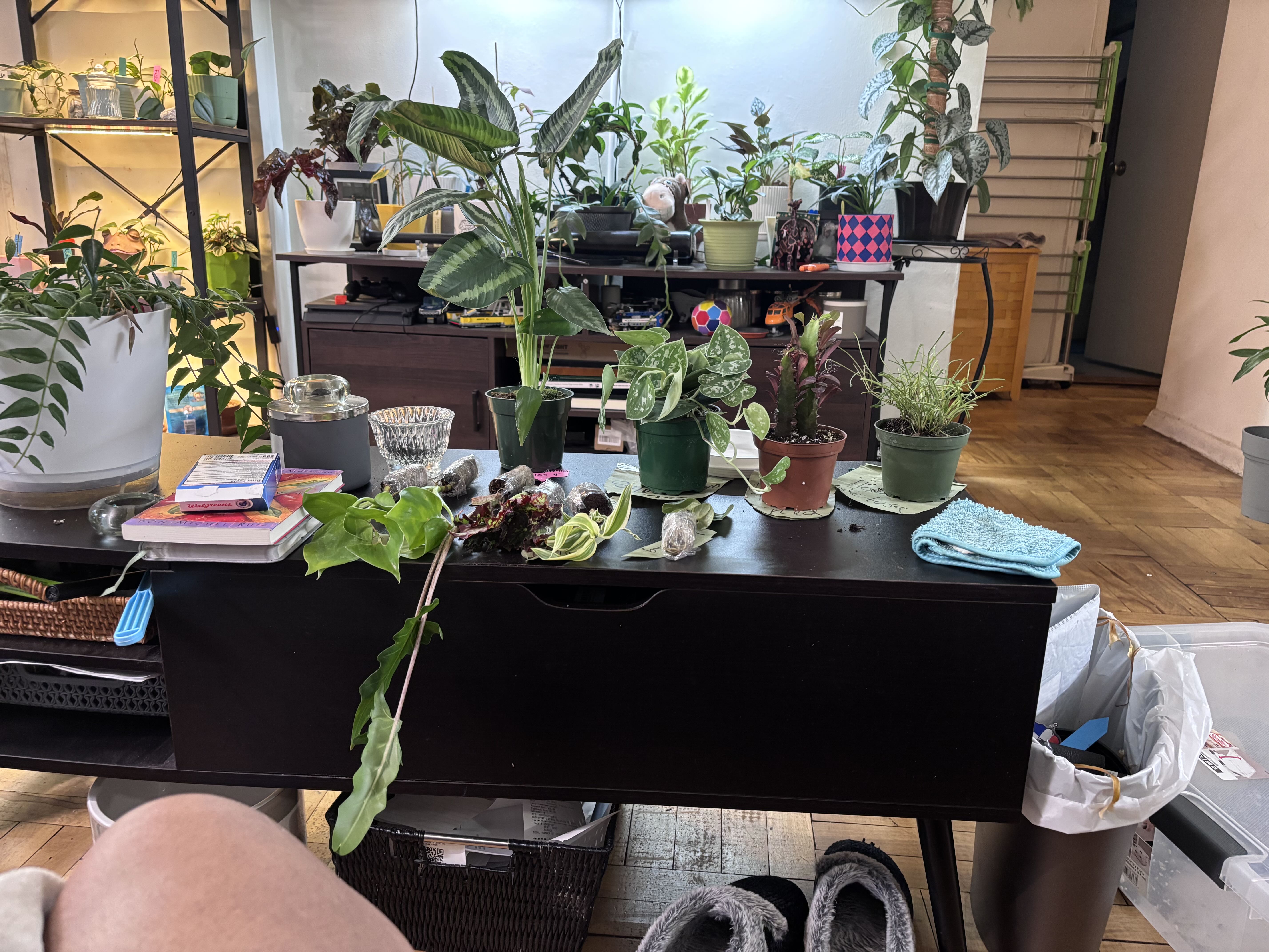 Photo from the post