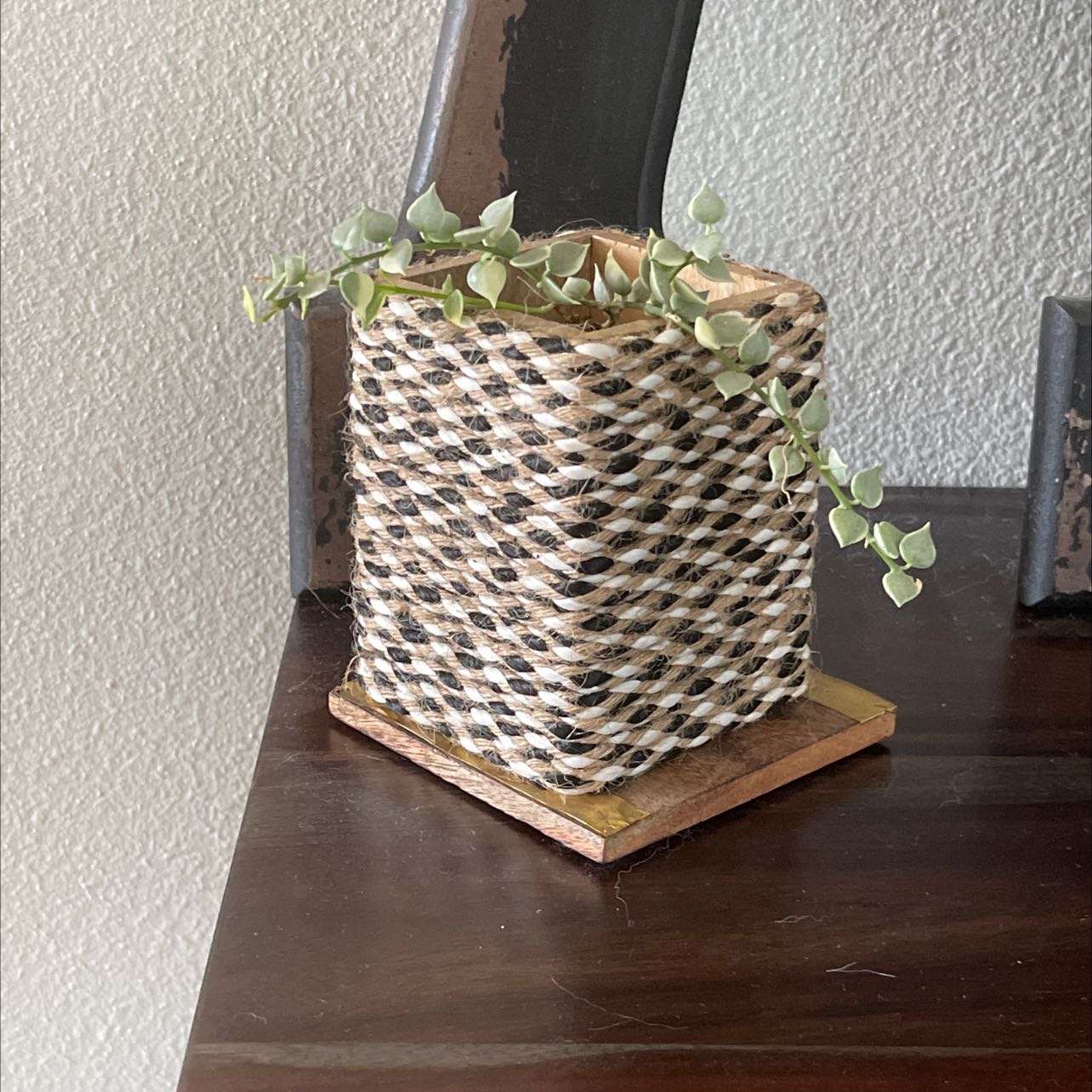 Million Hearts plant in a decorative pot on a wooden surface.