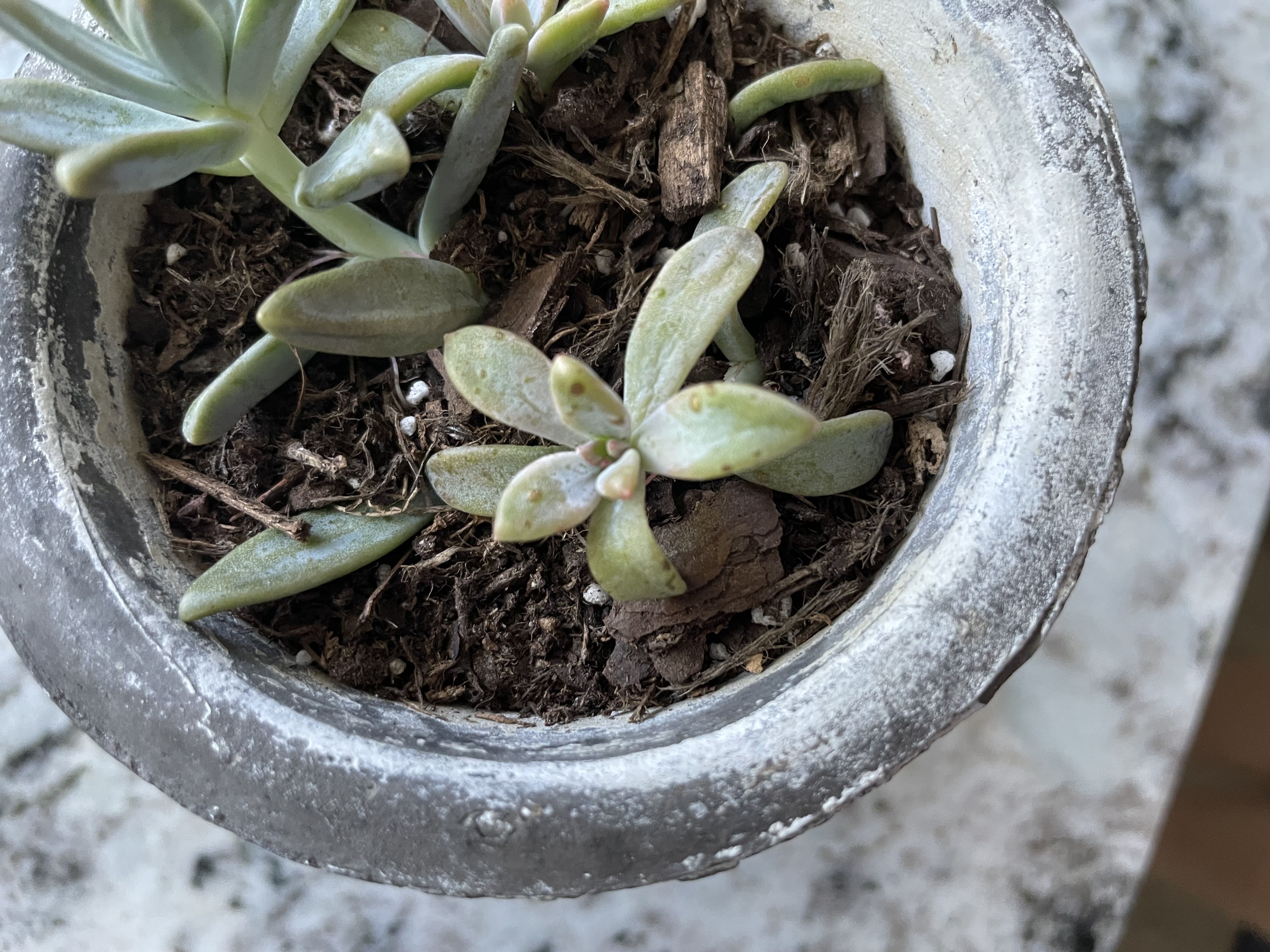 Photo from the post