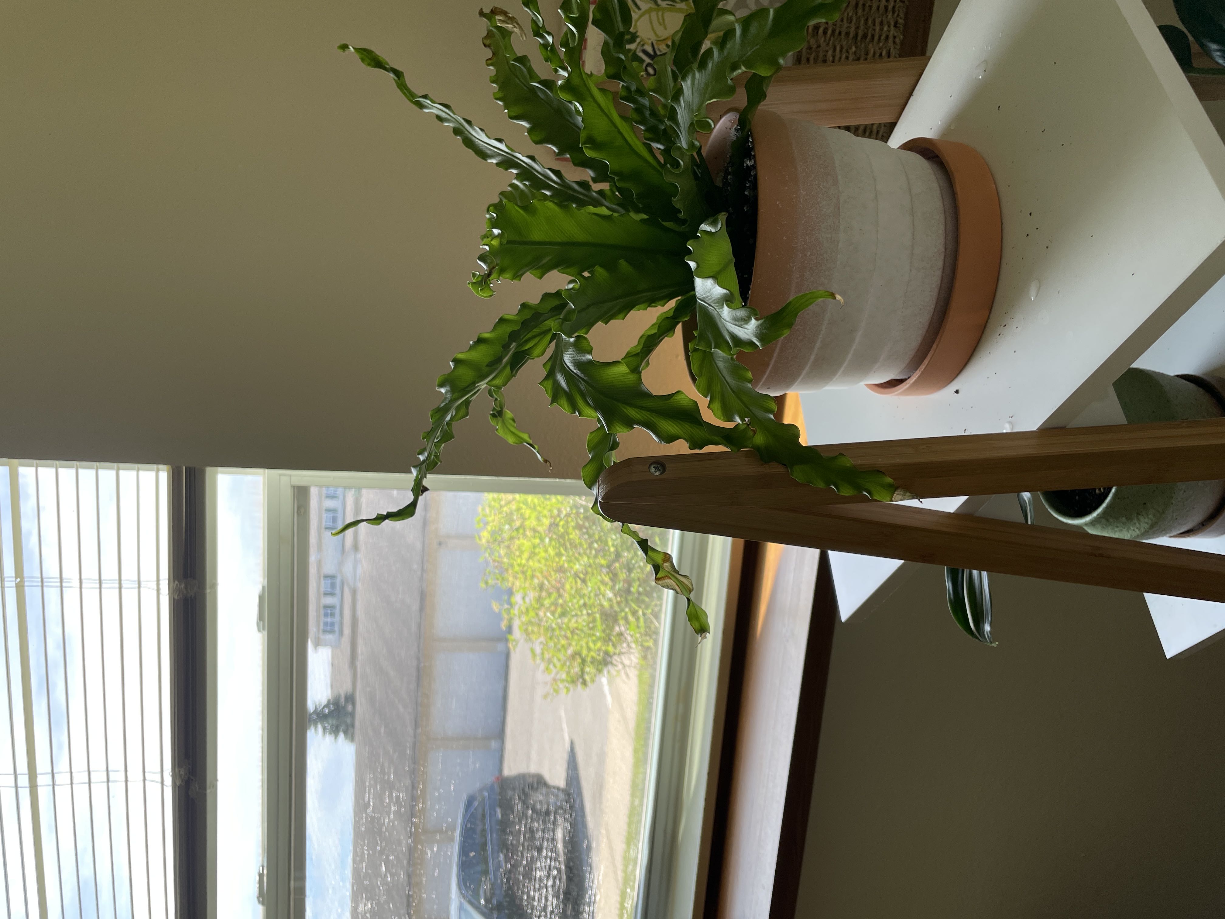 Photo from the post