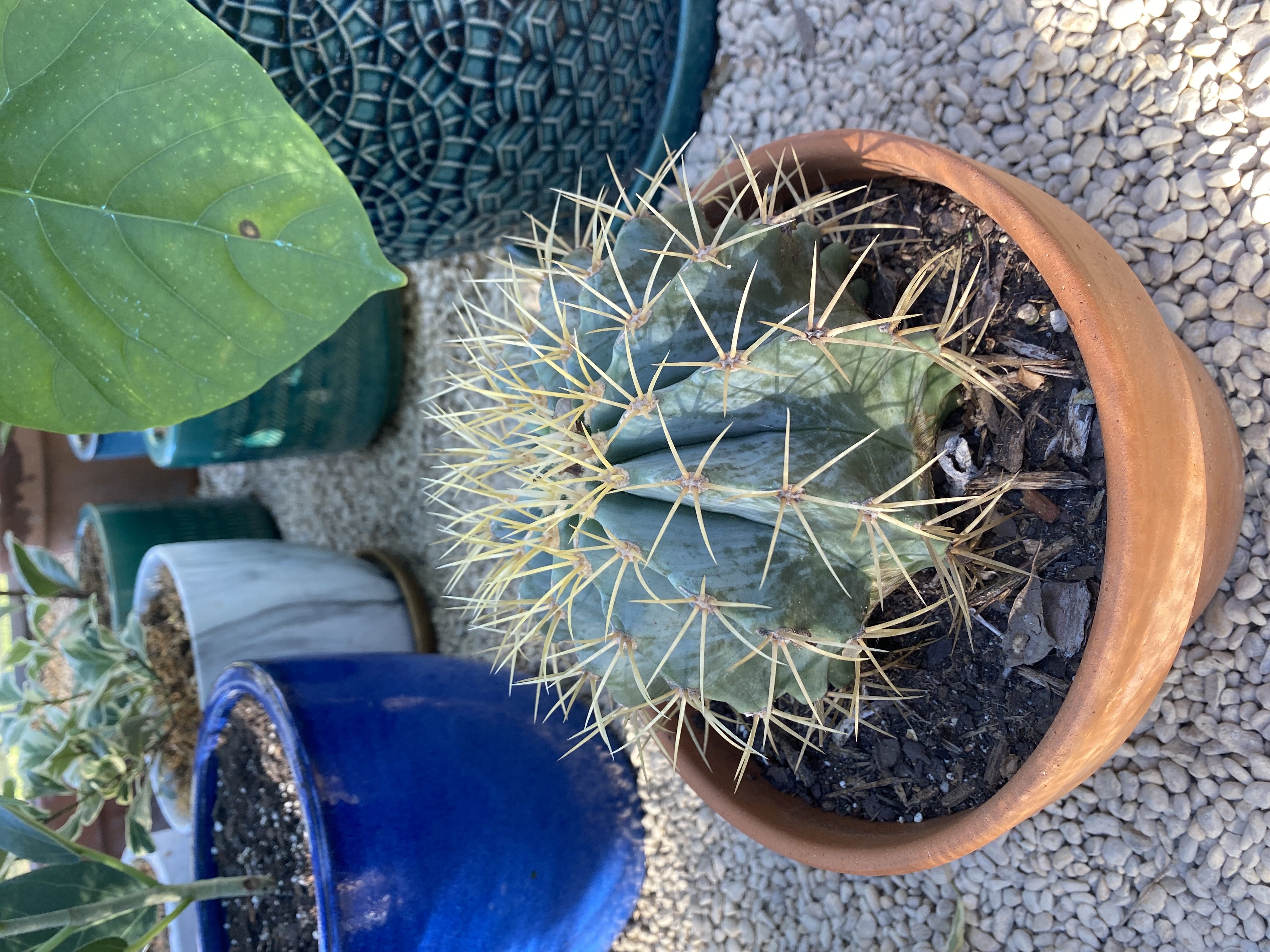 Photo from the post