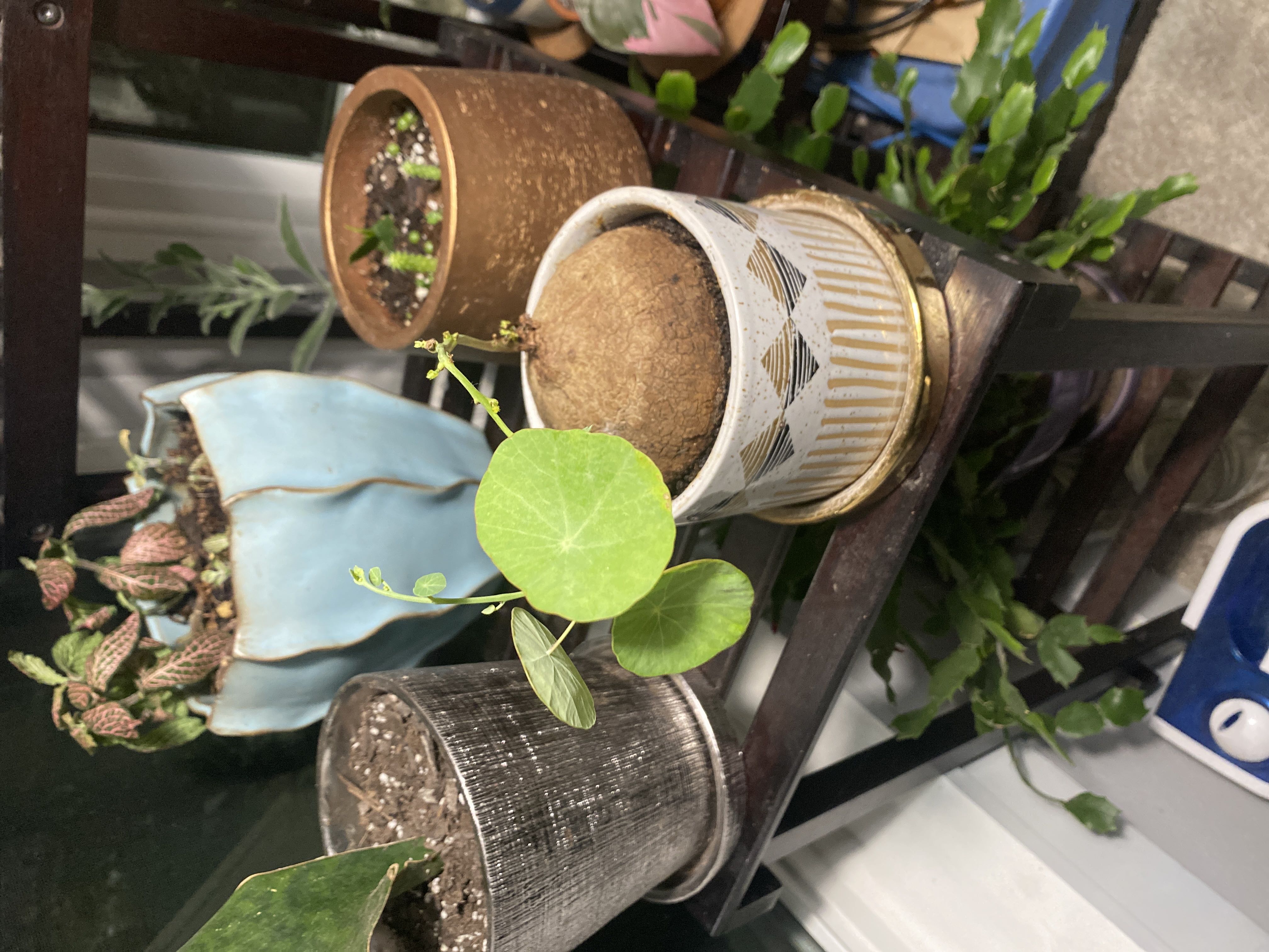 Photo from the post