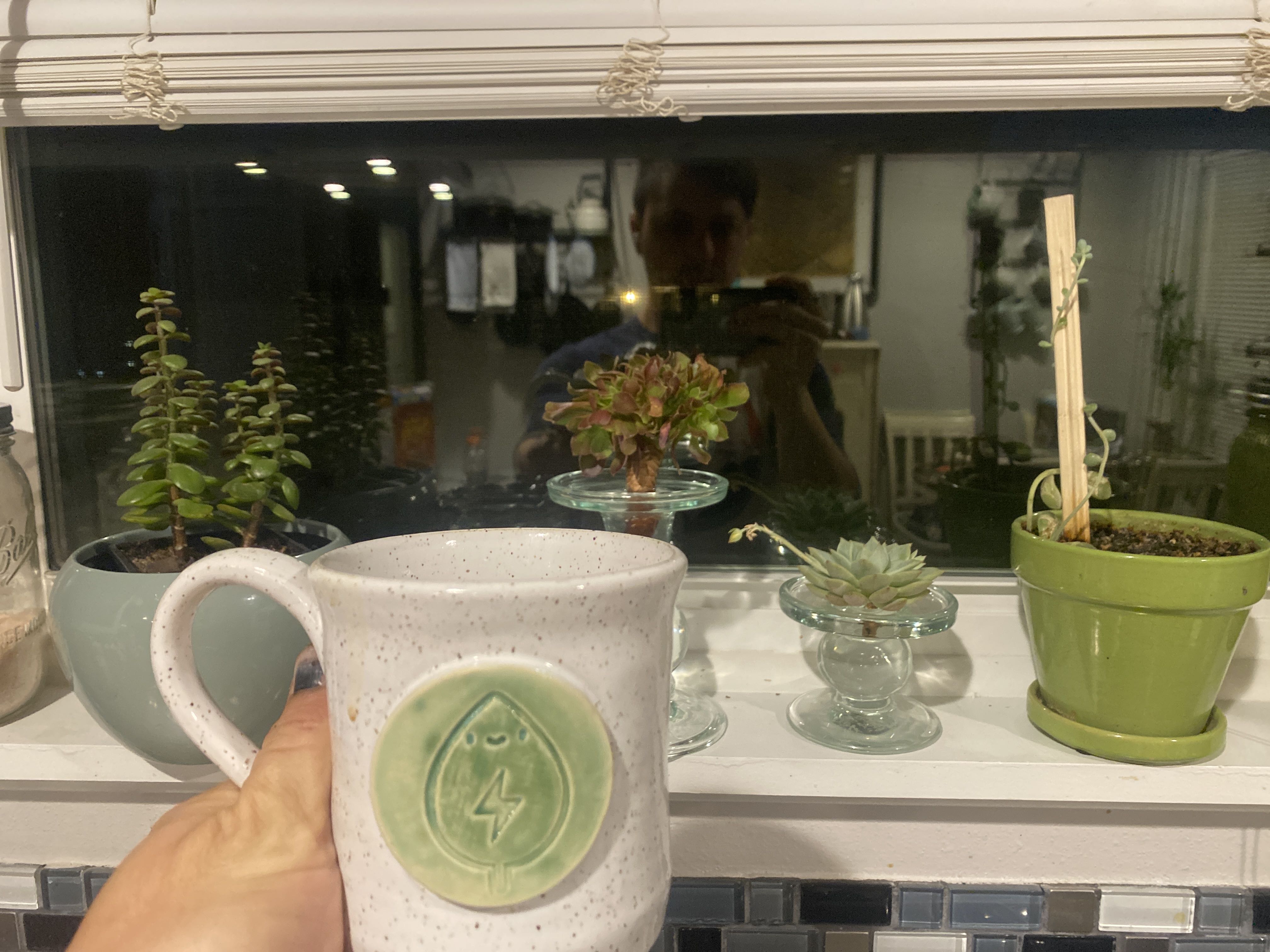 Photo from the post