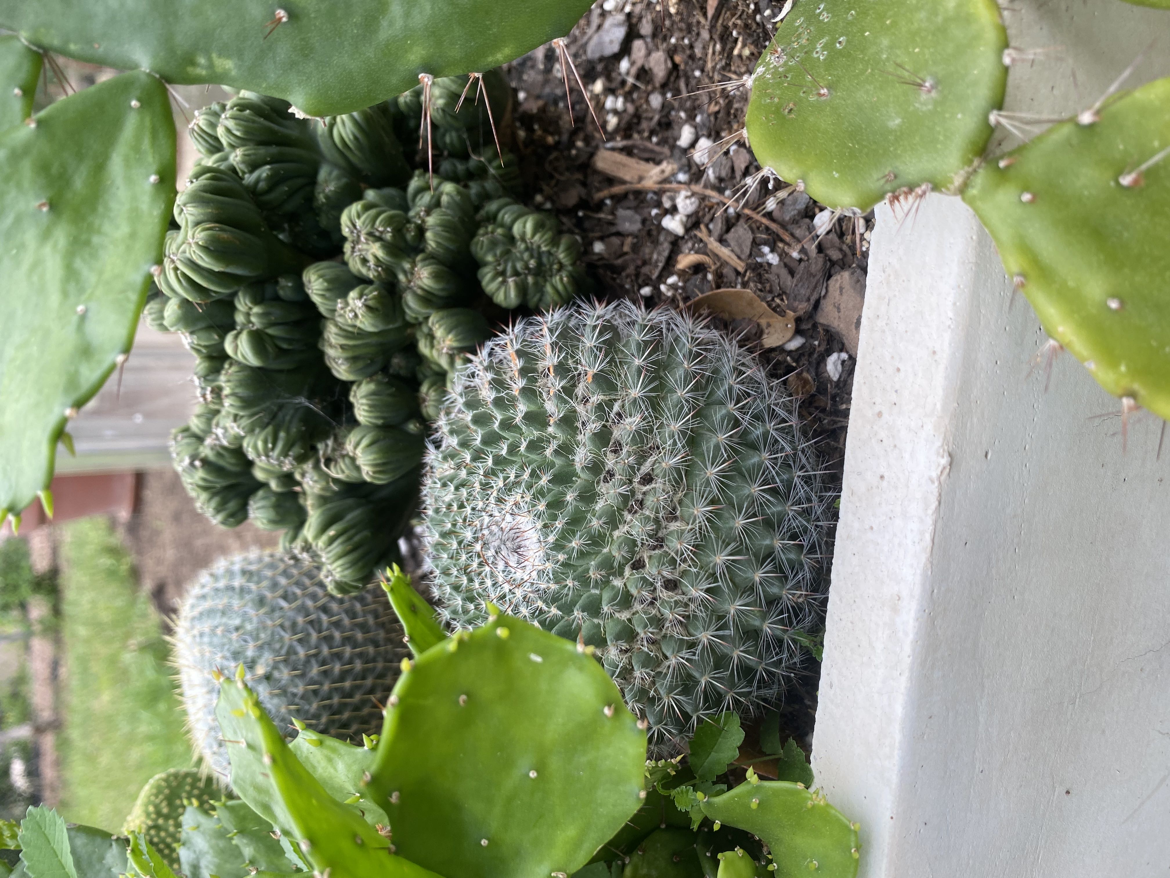 Photo from the post