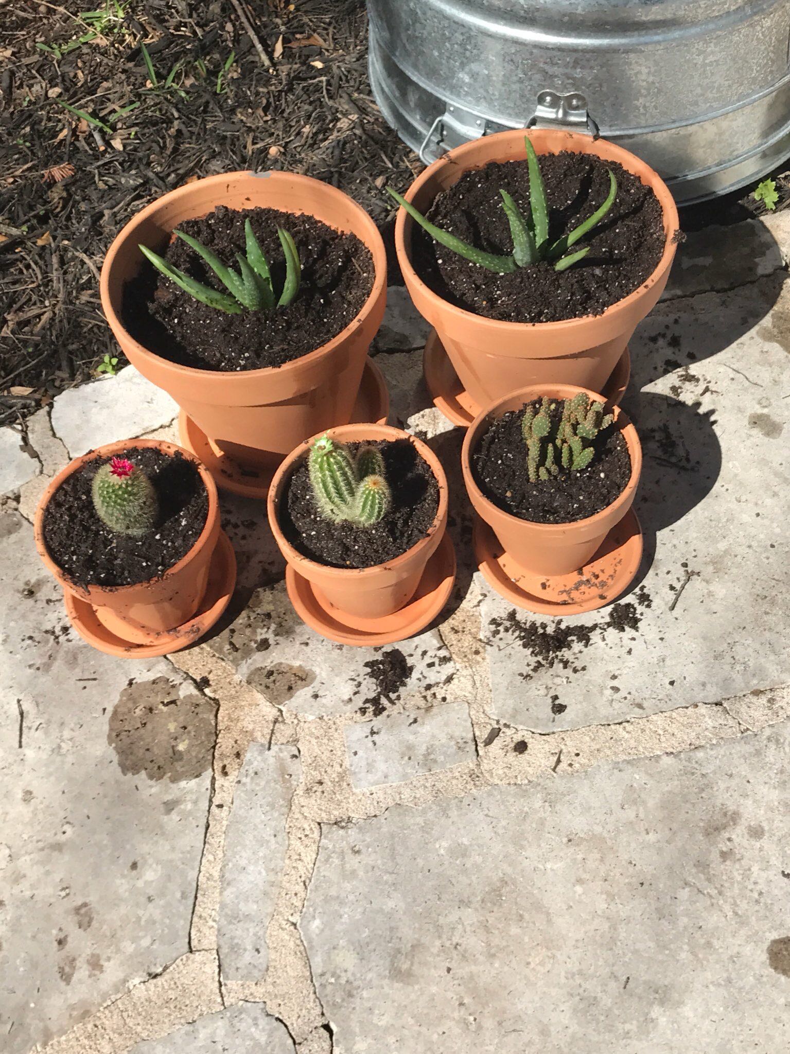Photo from the post
