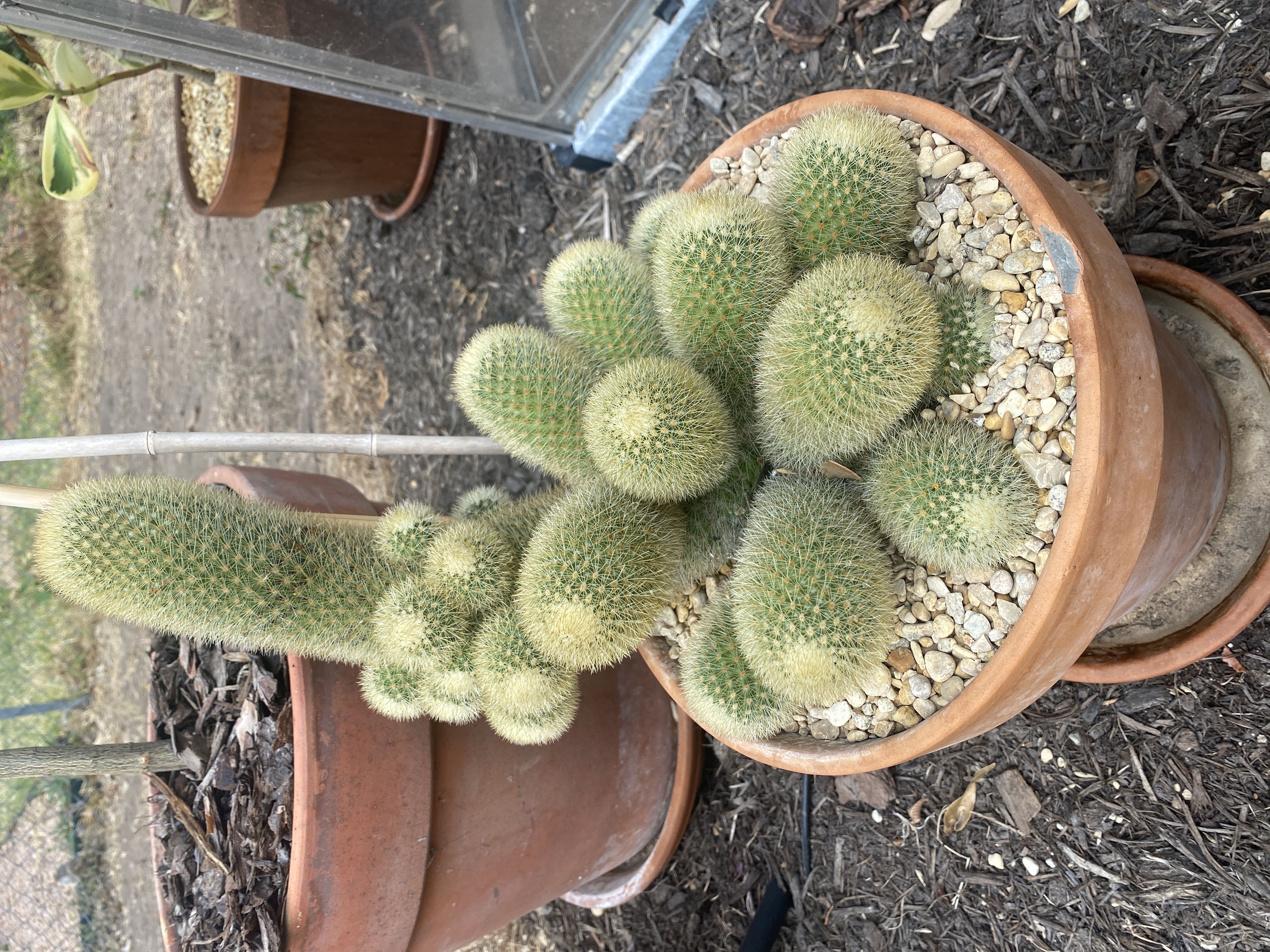 Photo from the post