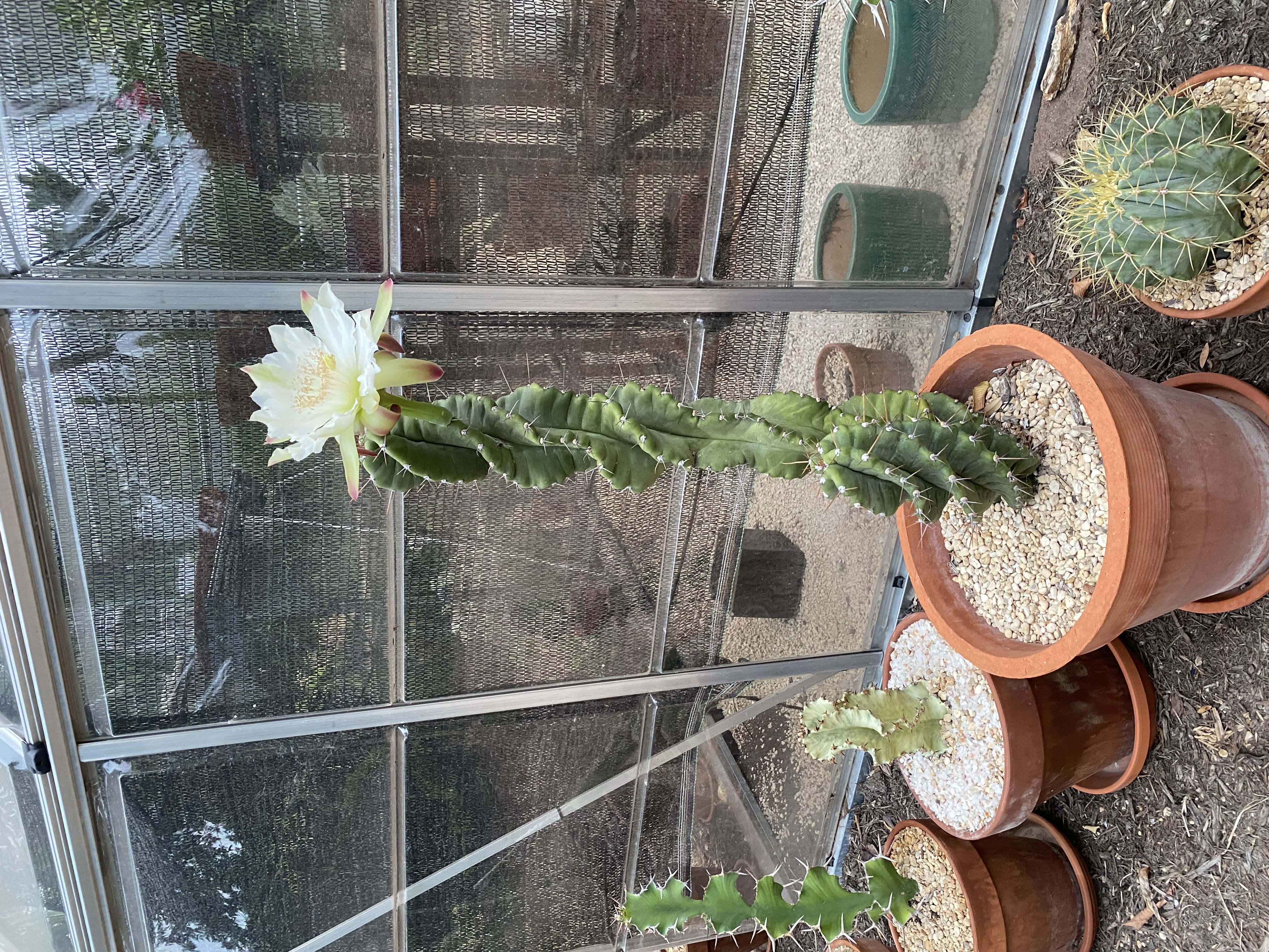 Photo from the post