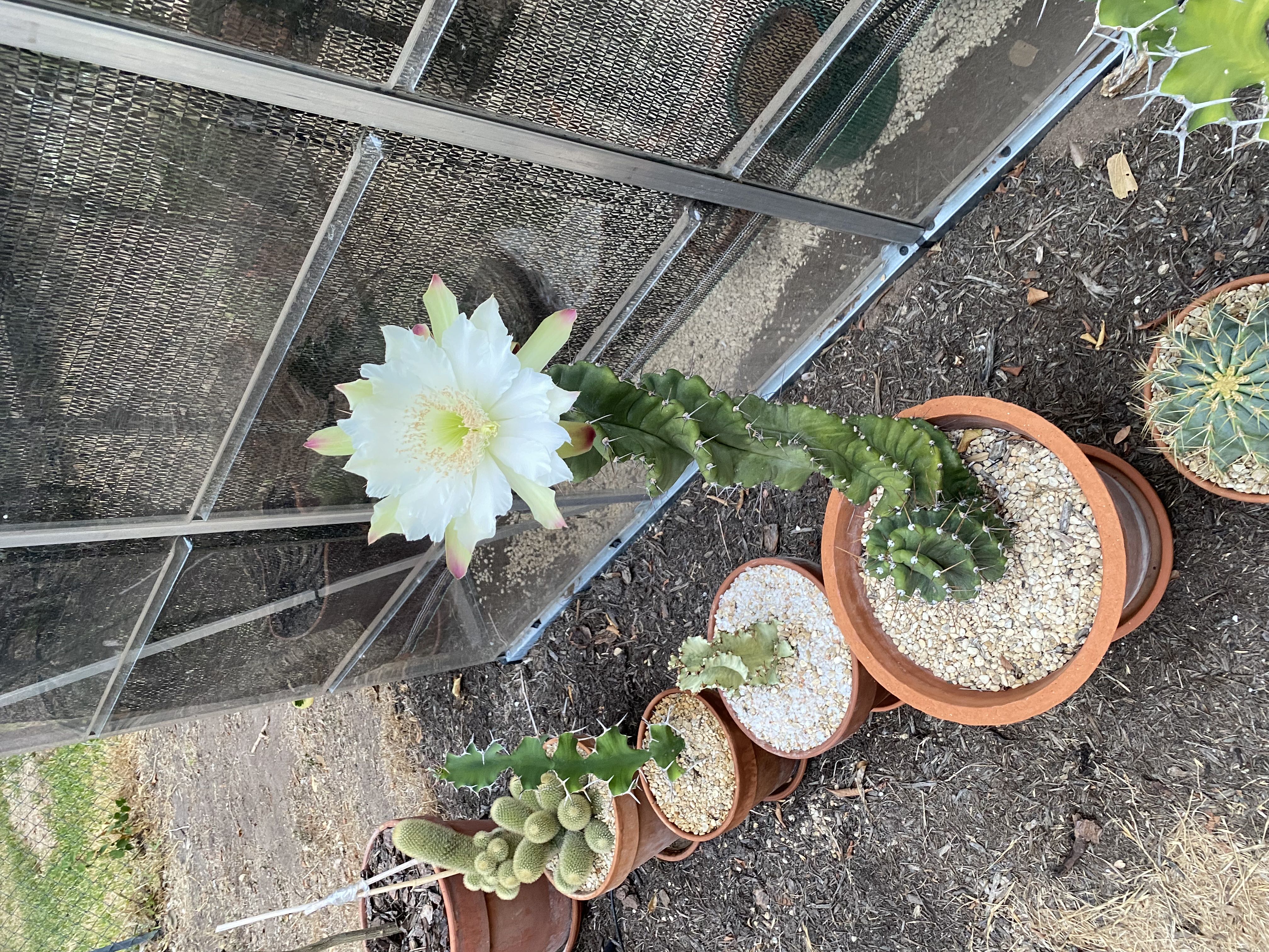 Photo from the post