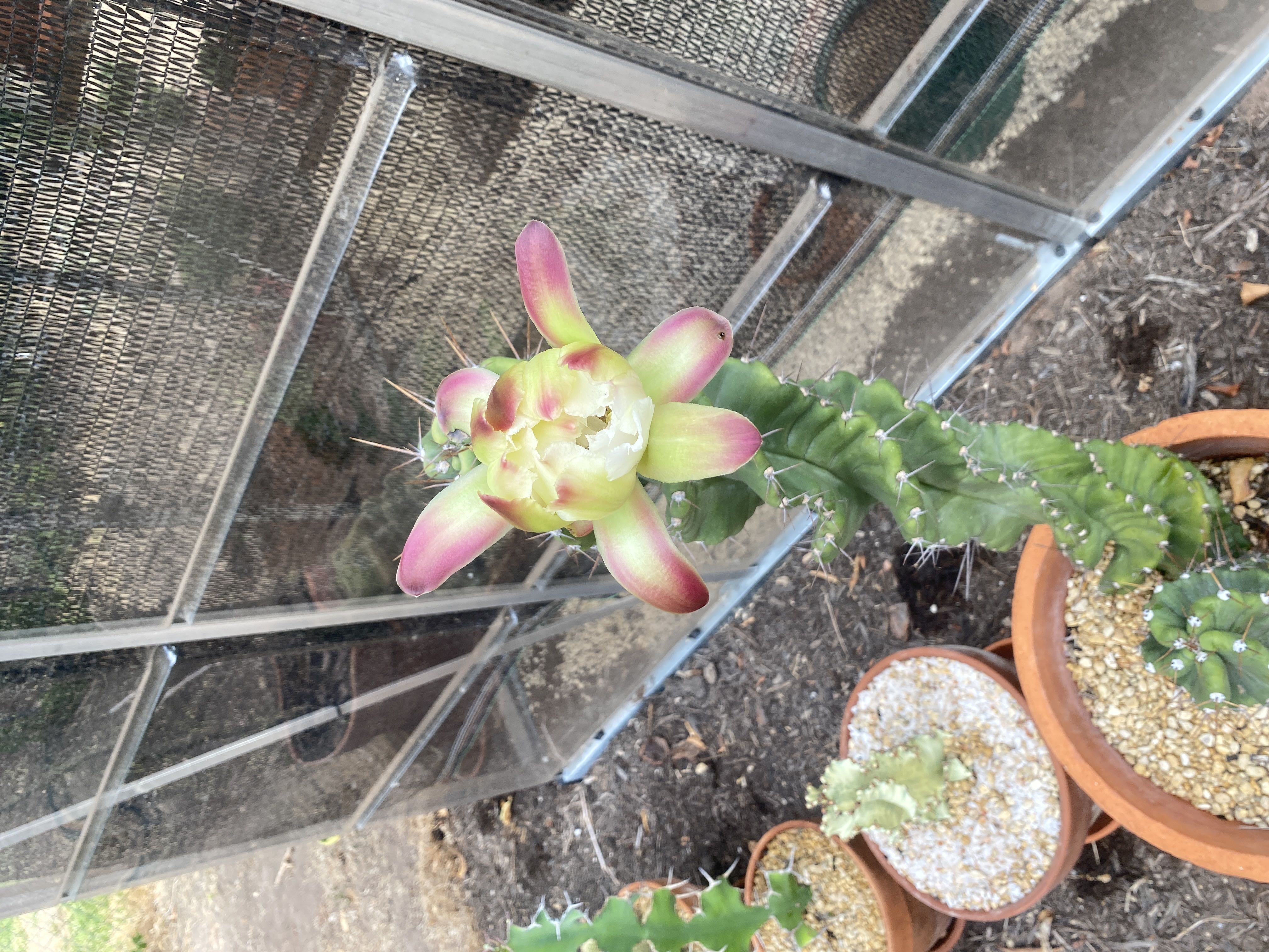 Photo from the post