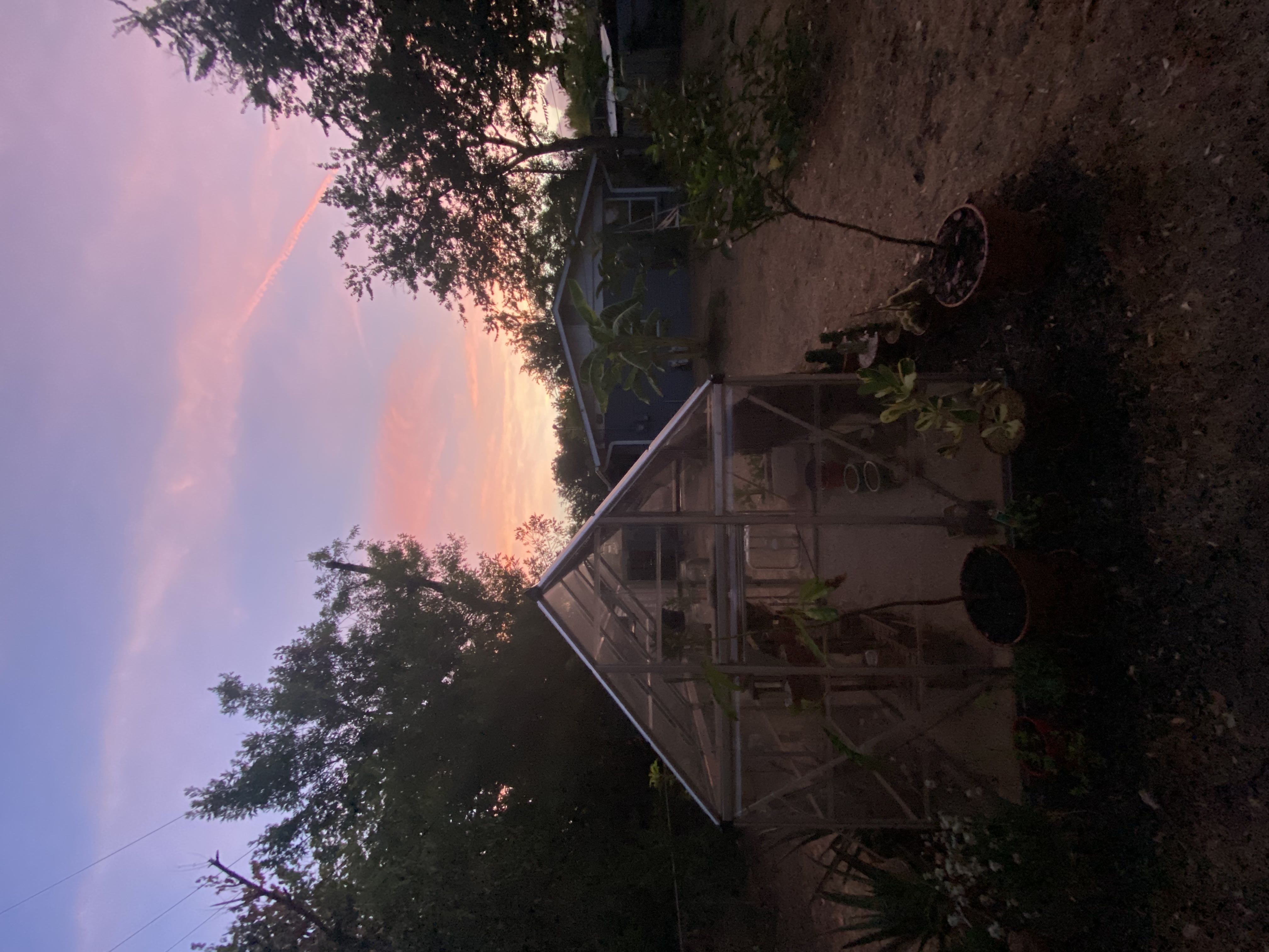 Good morning from #RJGsYard