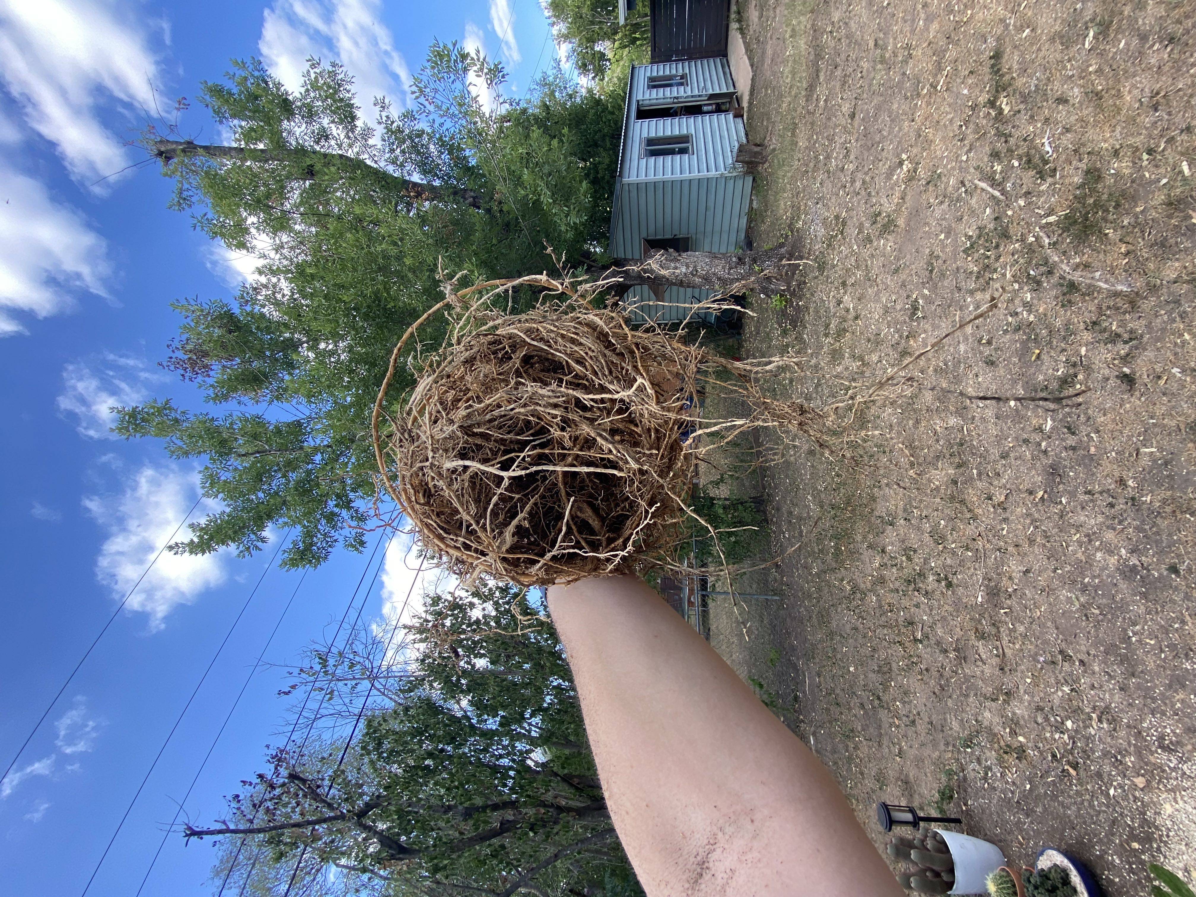 Photo from the post