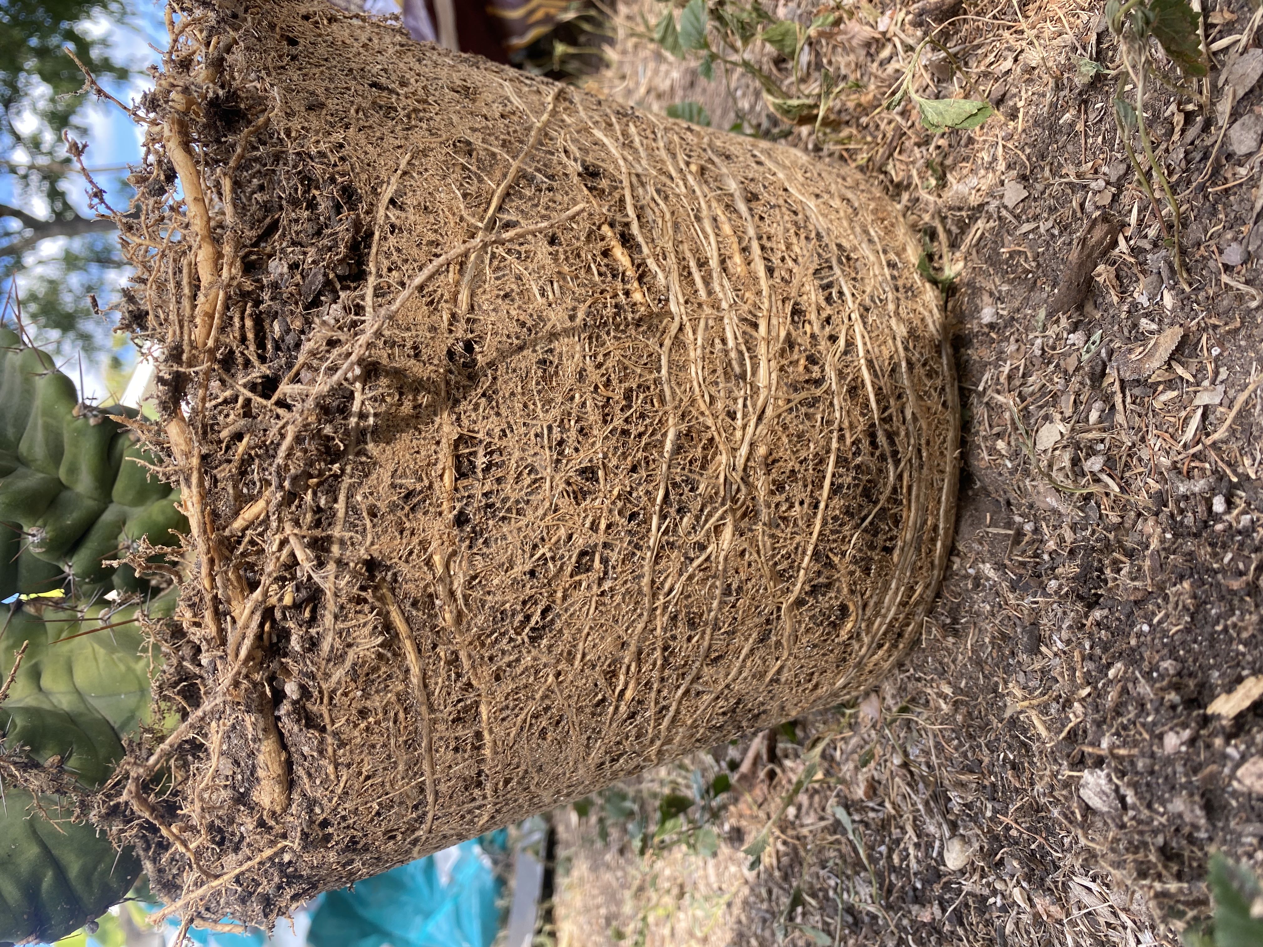 Photo from the post