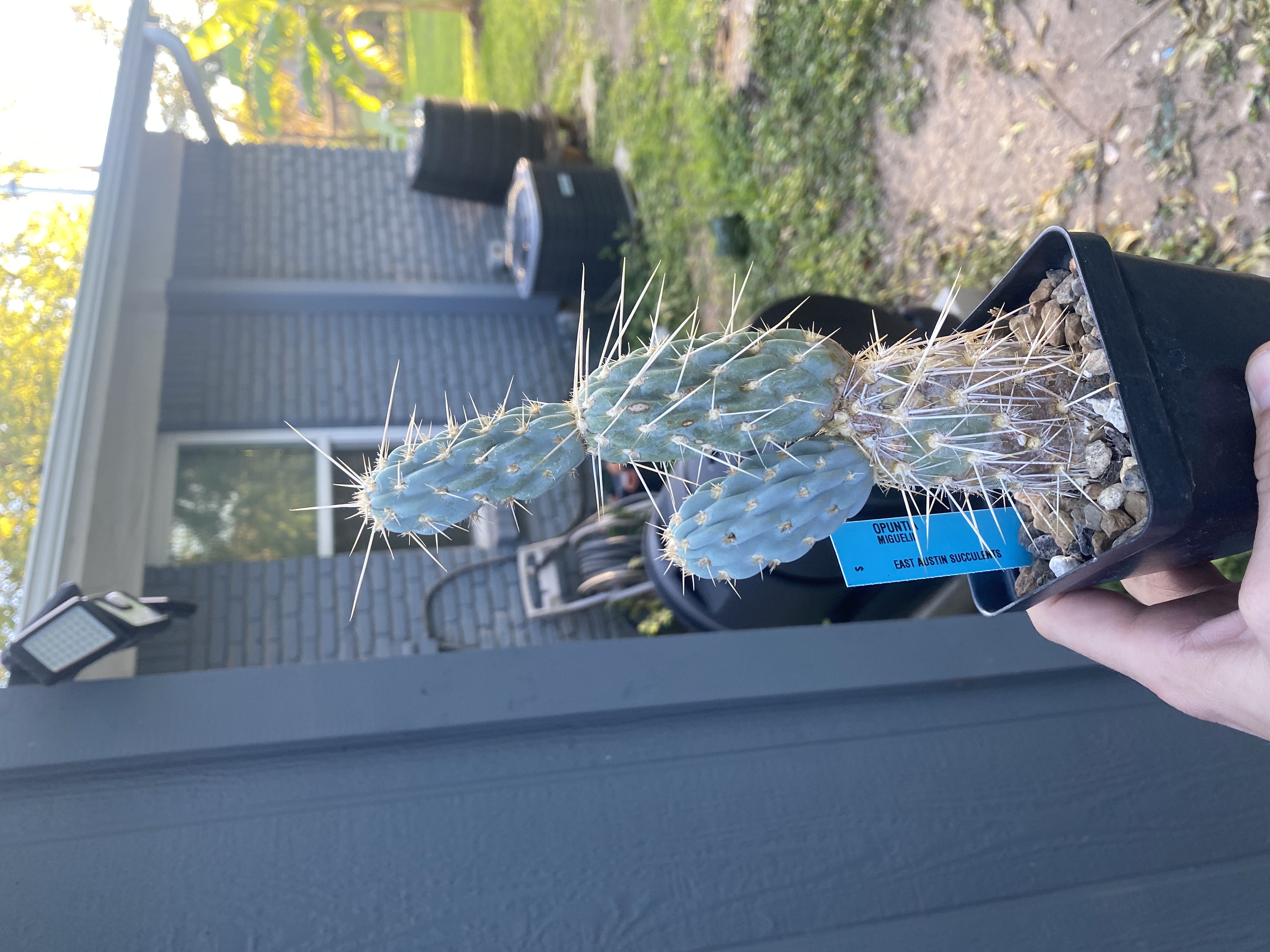 Photo from the post