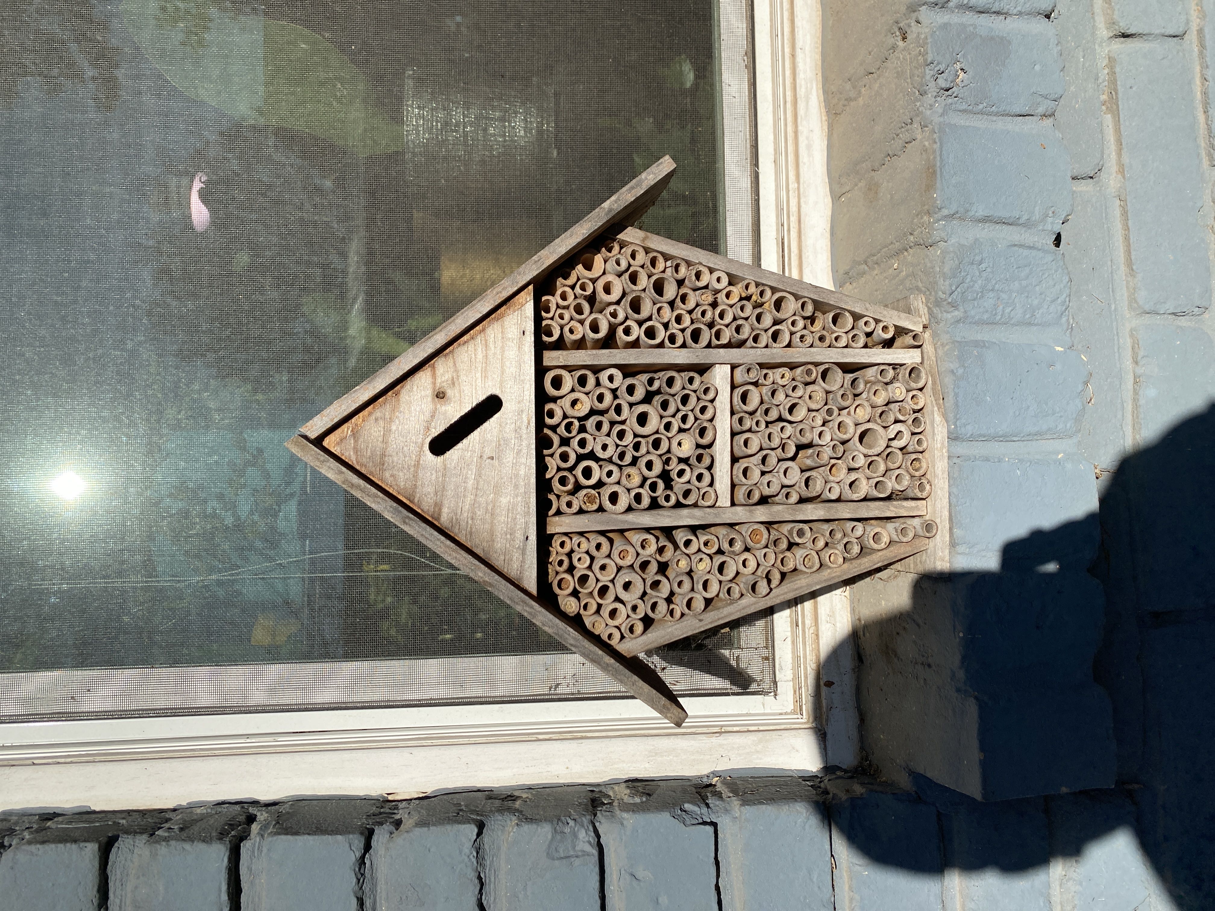 Photo from the post