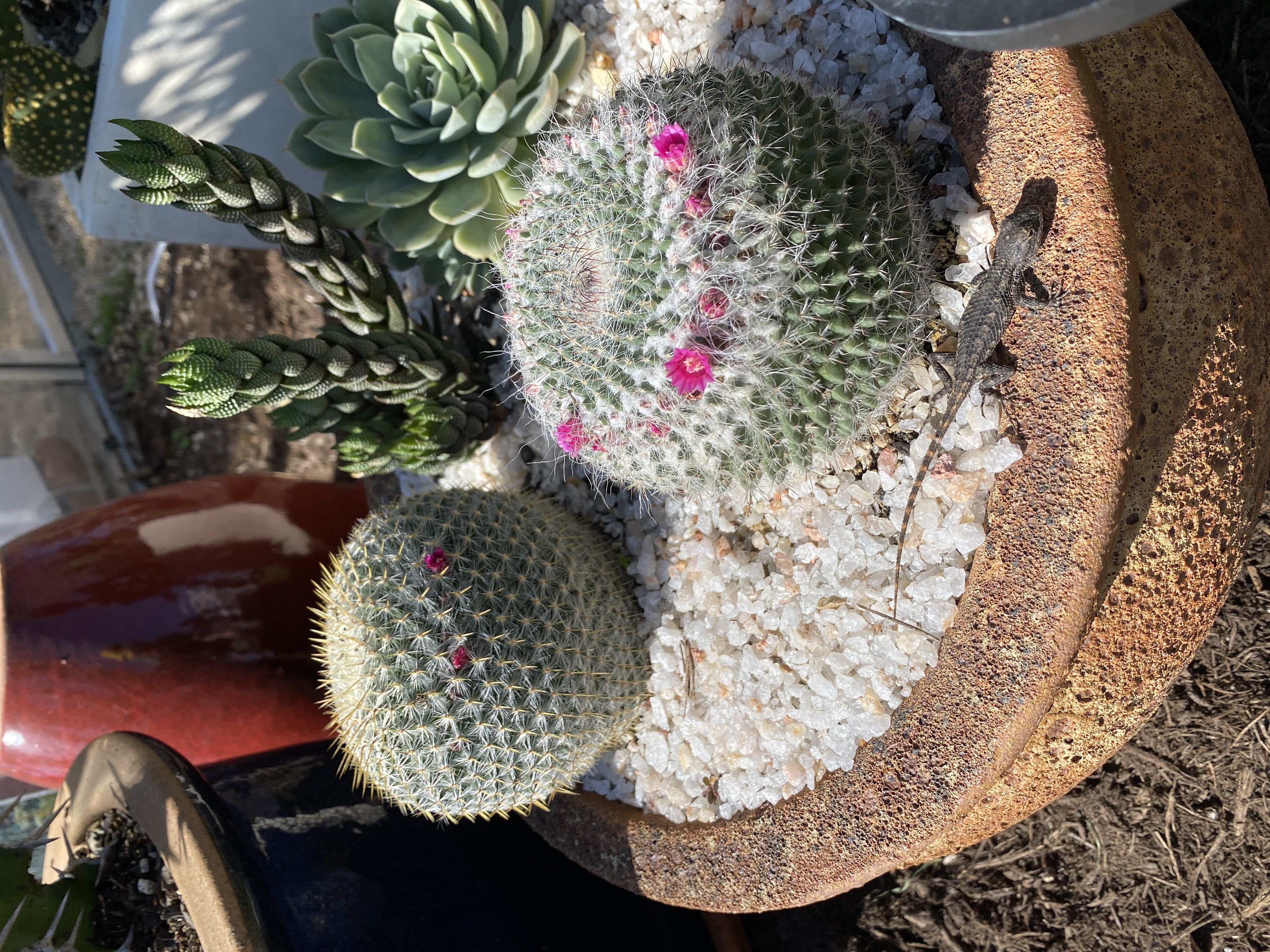 Photo from the post