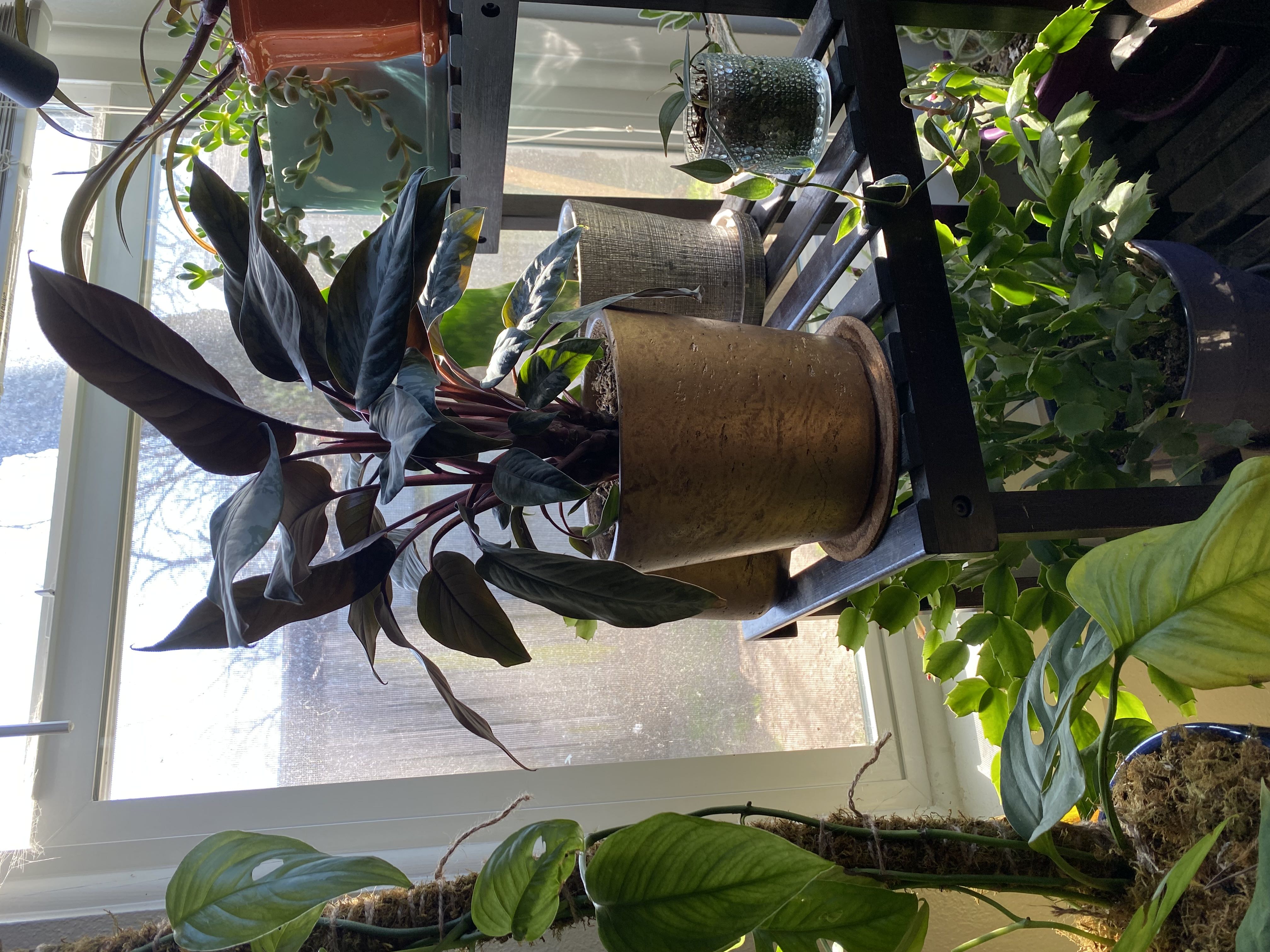Photo from the post
