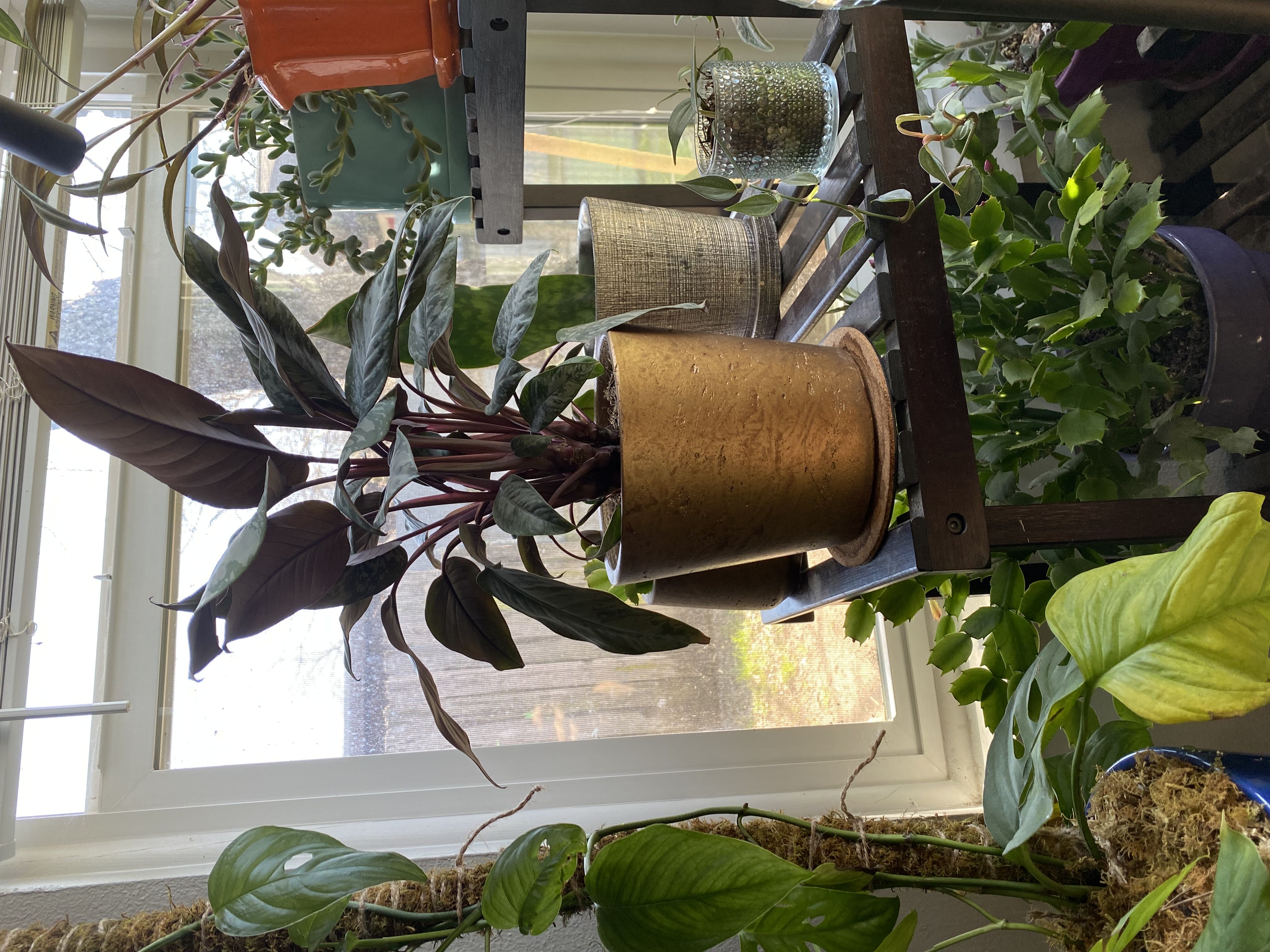 Photo from the post