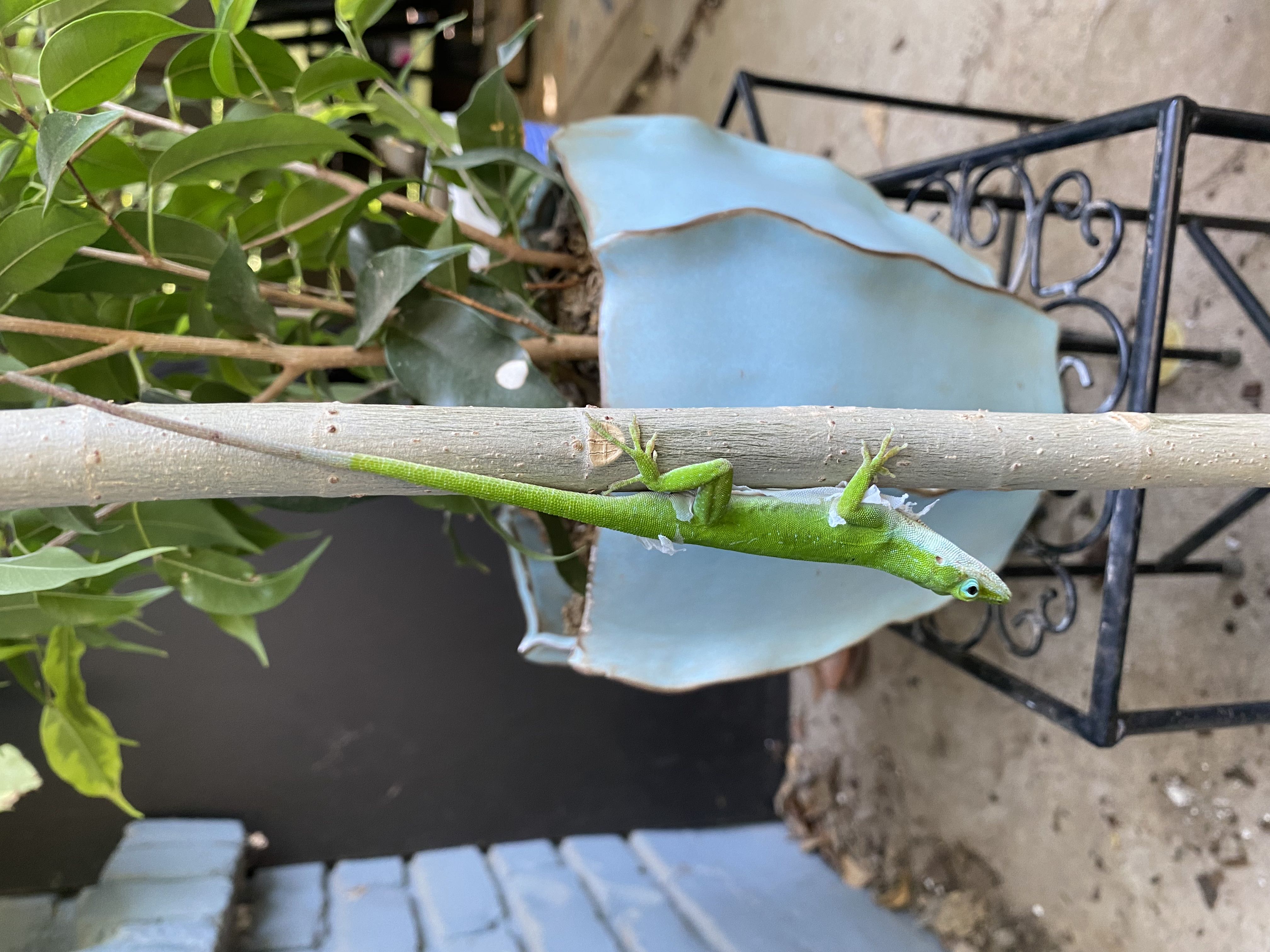 Photo from the post