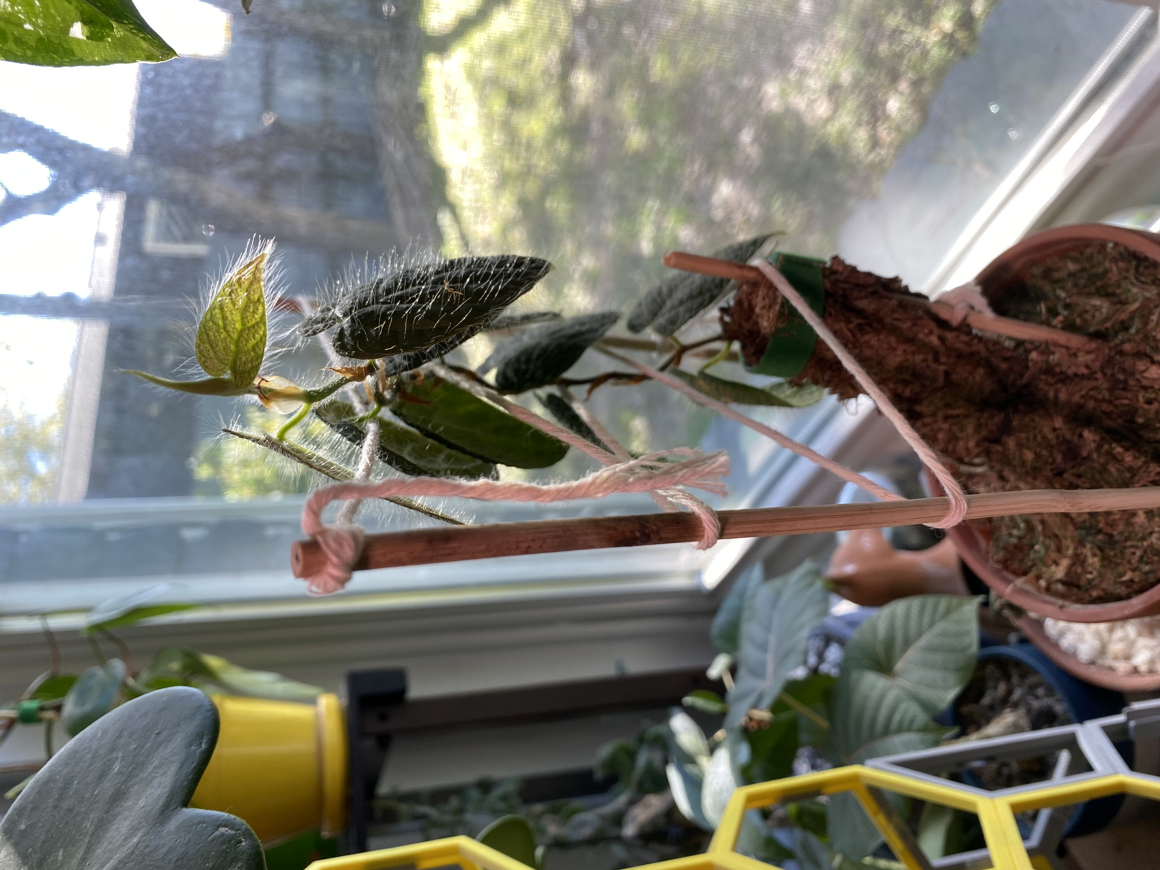 Photo from the post