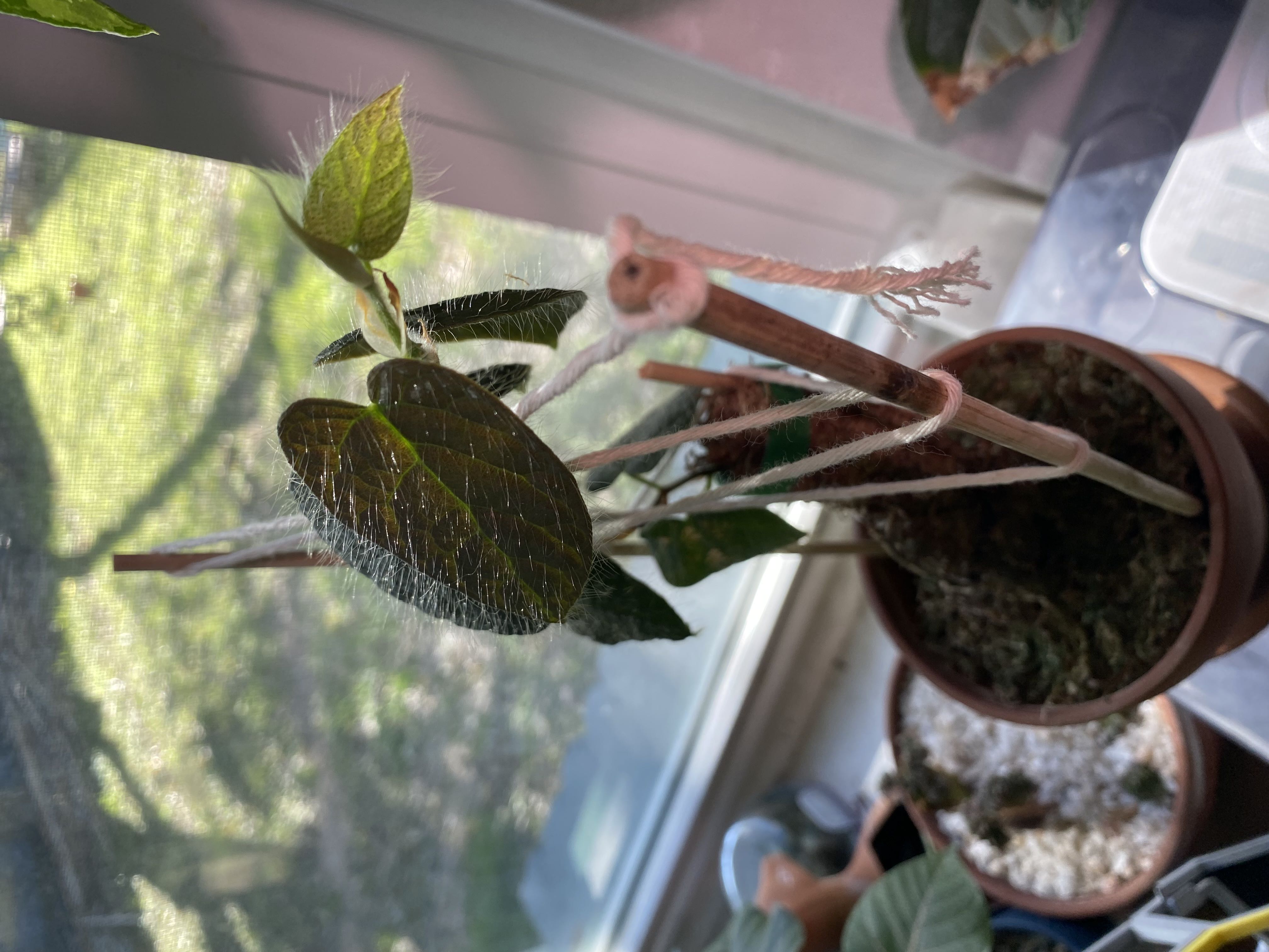 Photo from the post
