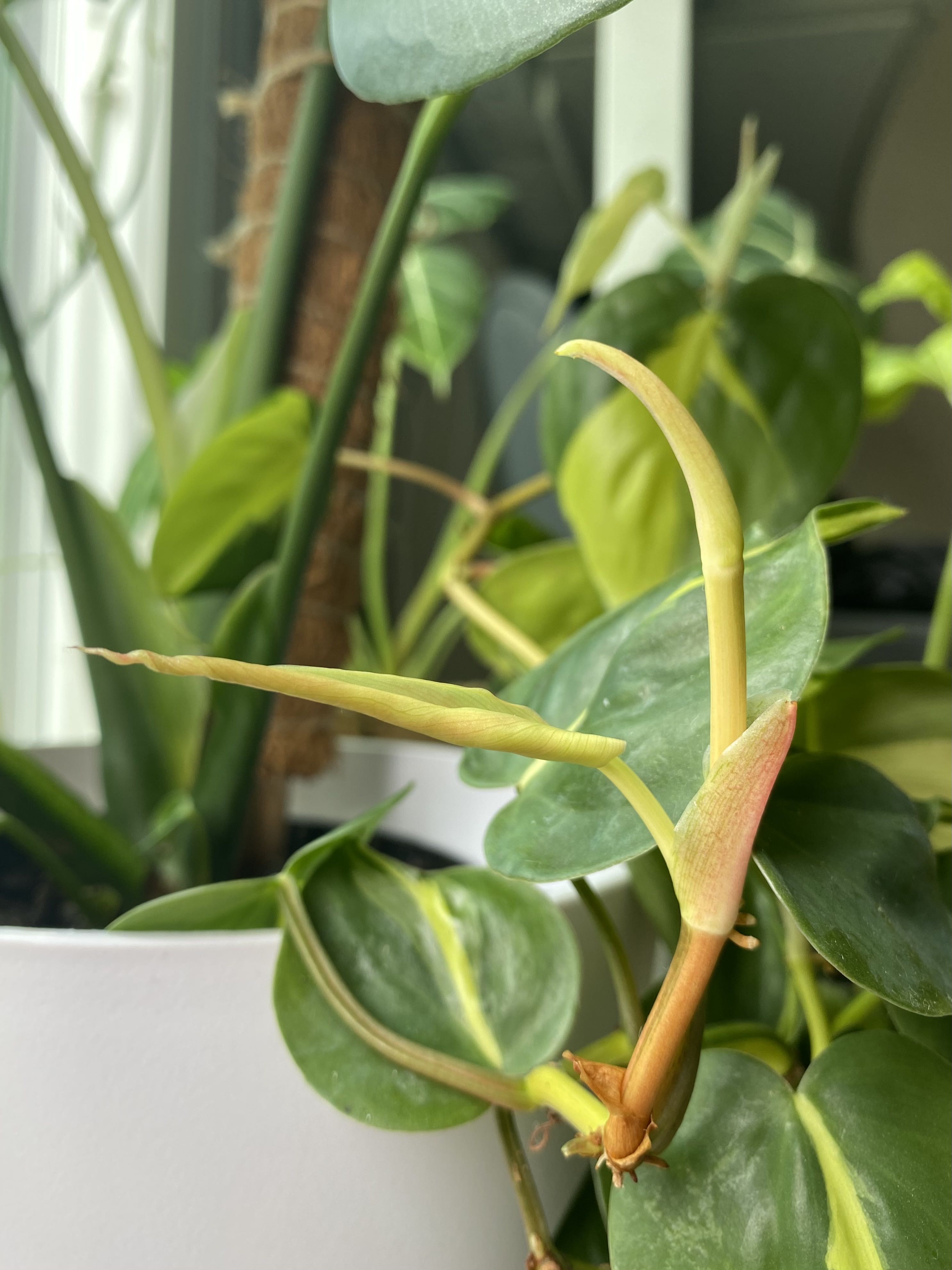 Photo from the post