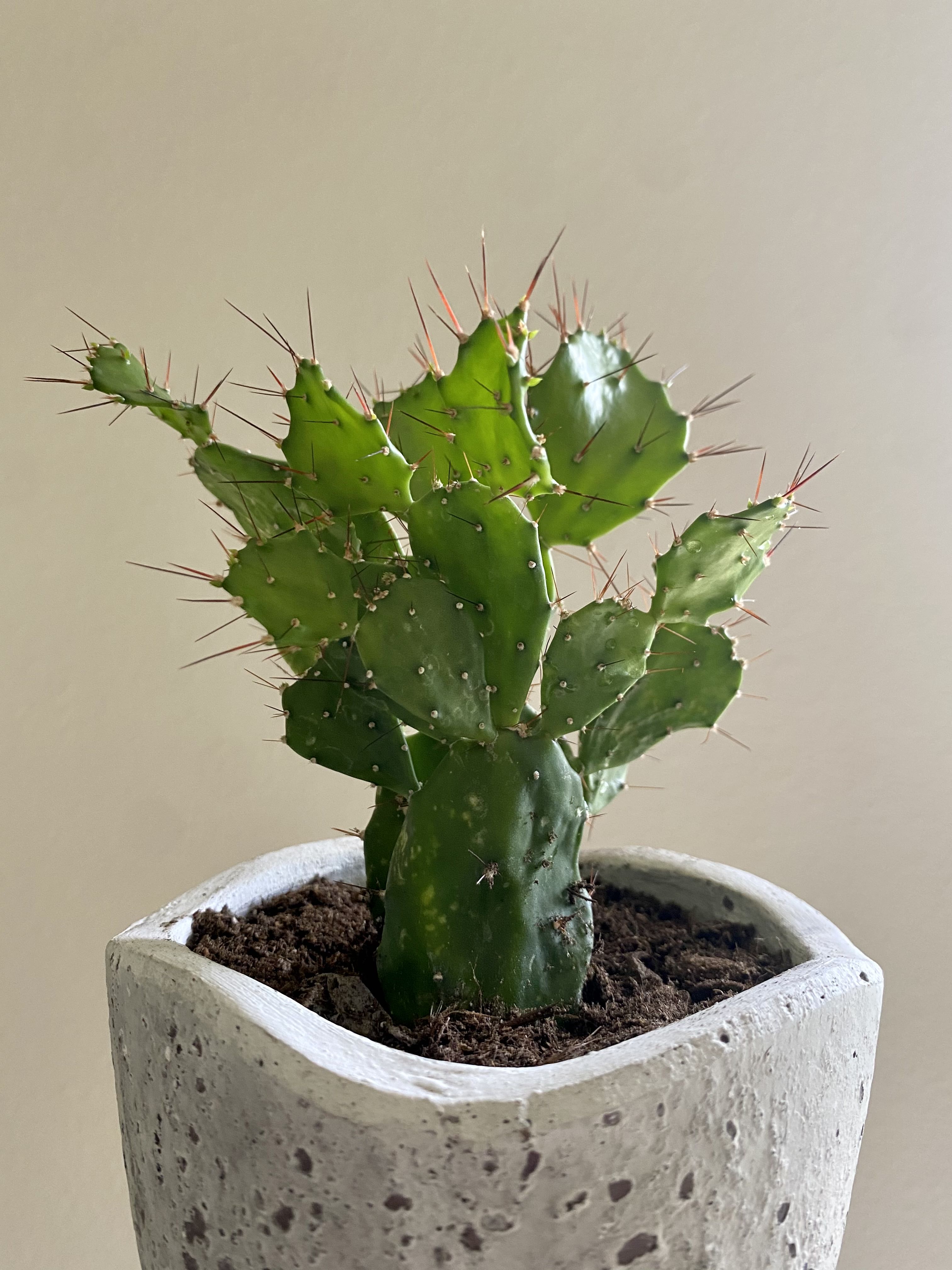 Photo from the post