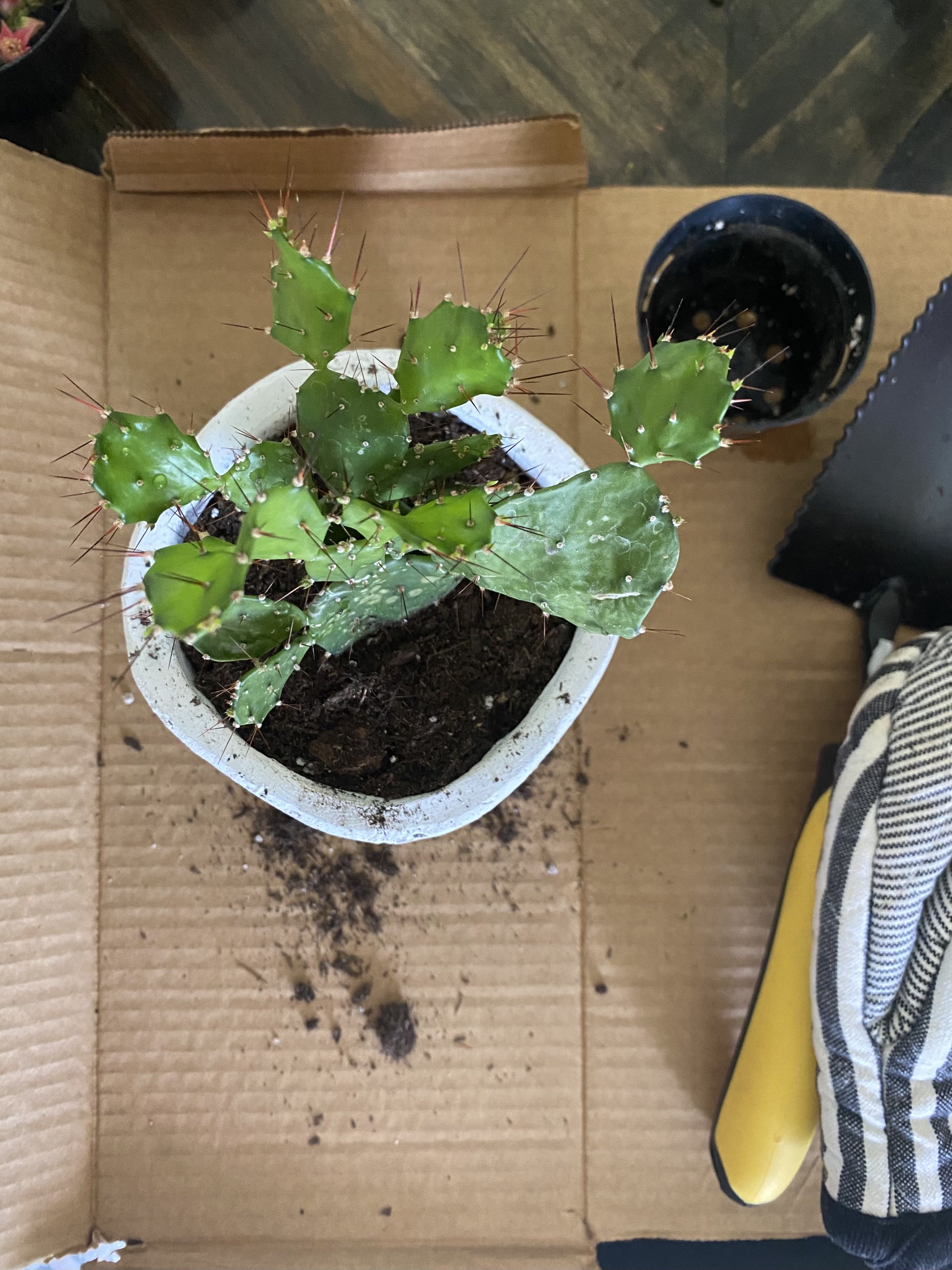 Photo from the post