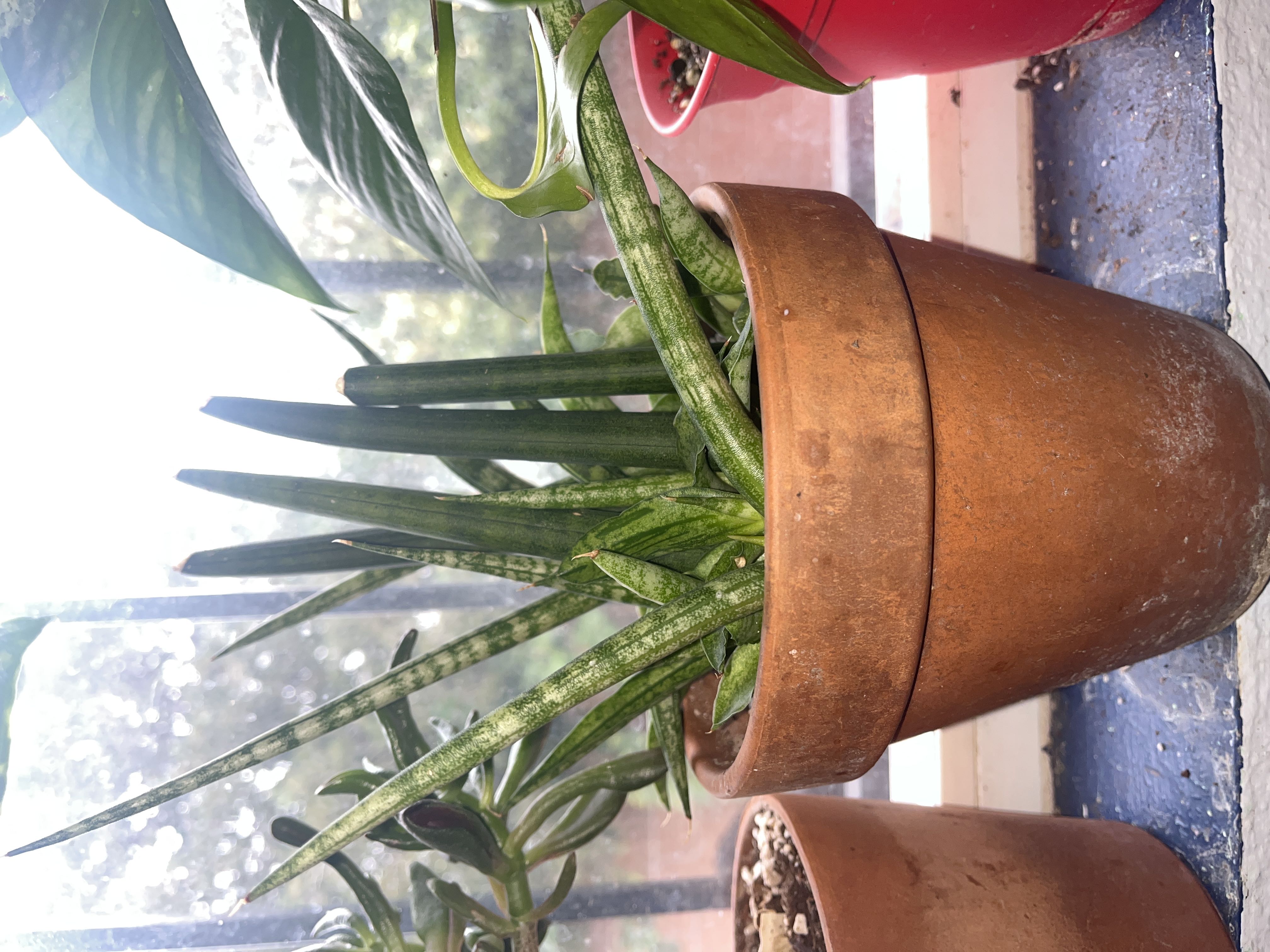 Photo from the post