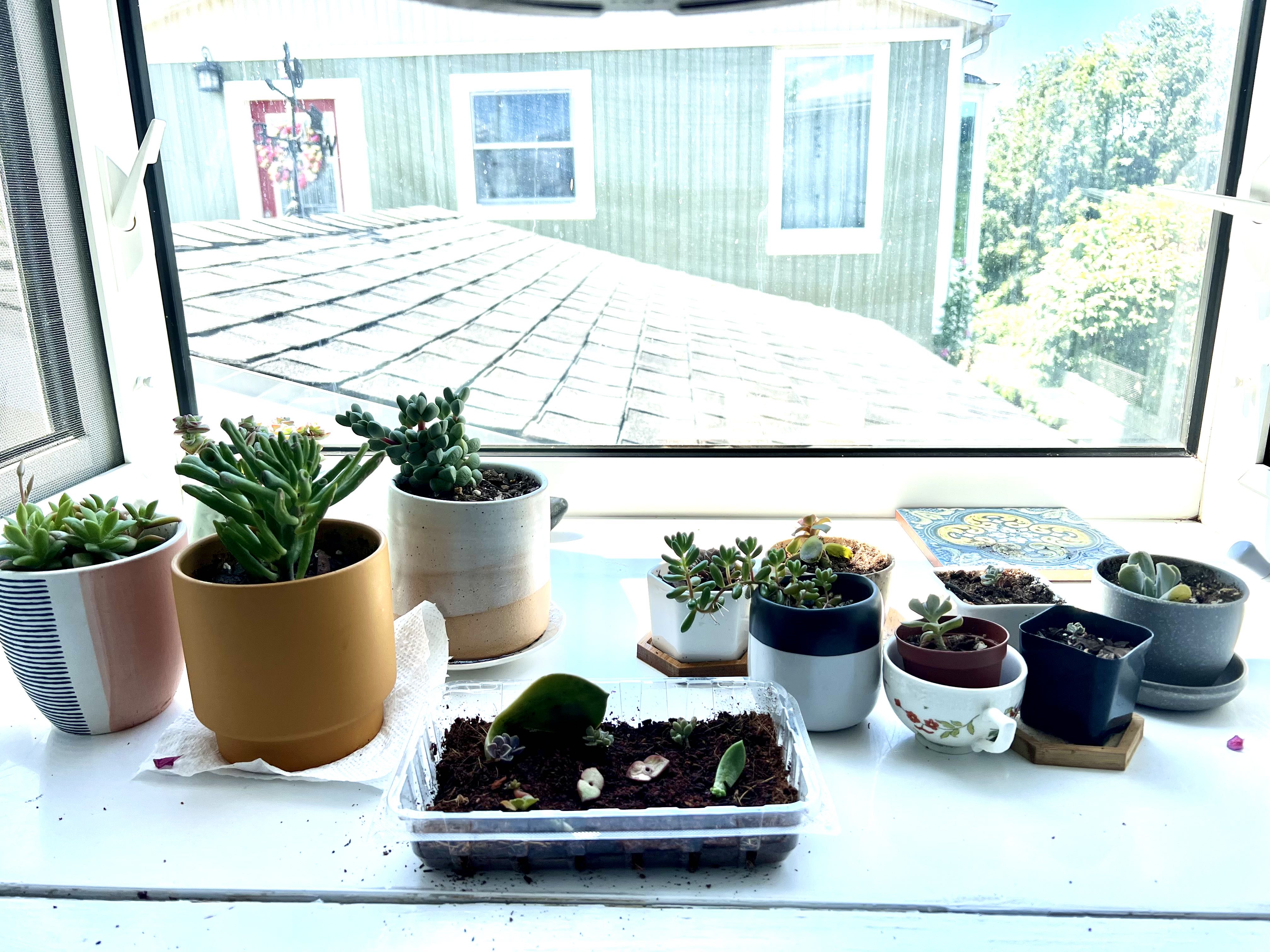 Photo from the post