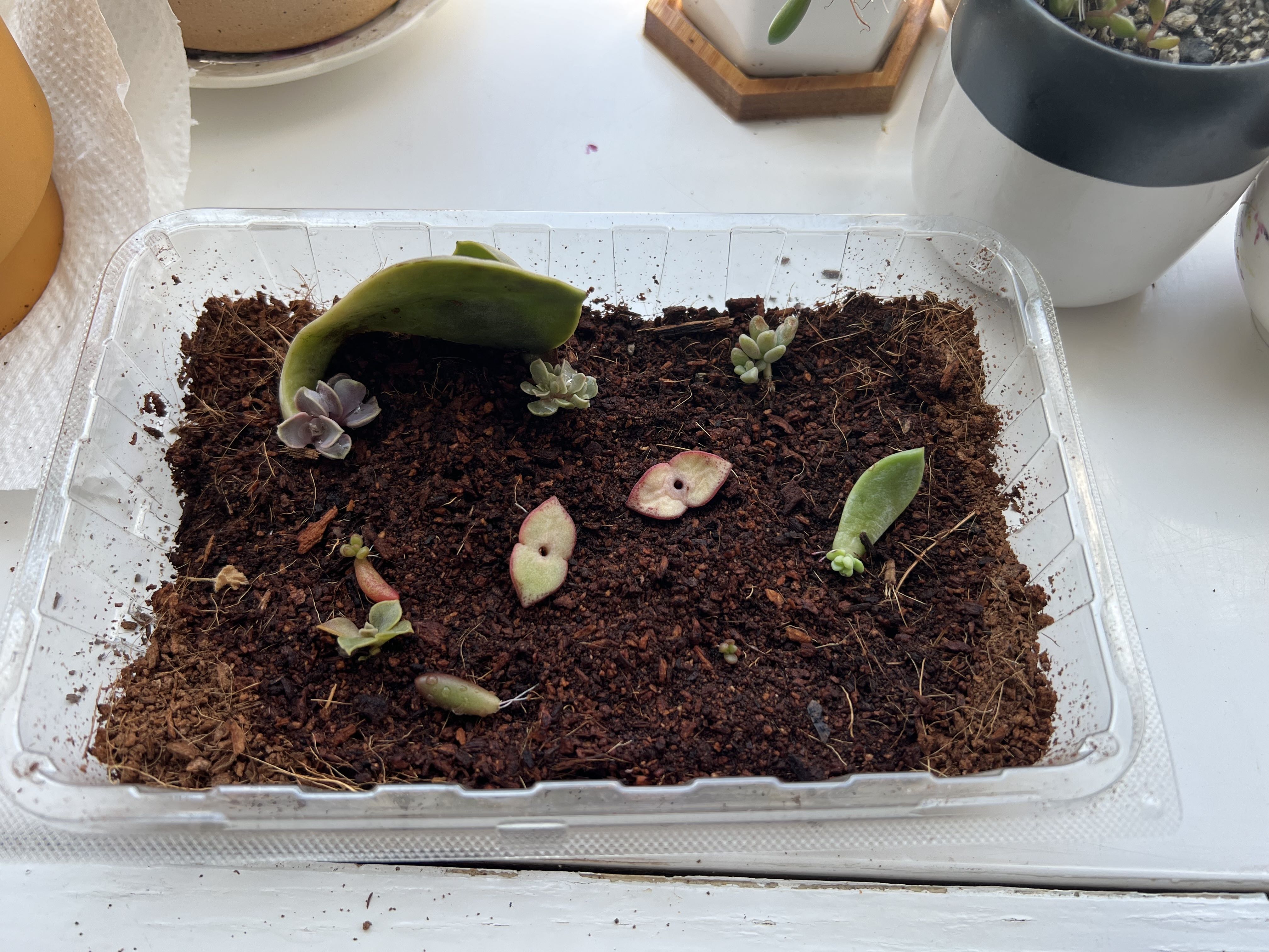 Photo from the post