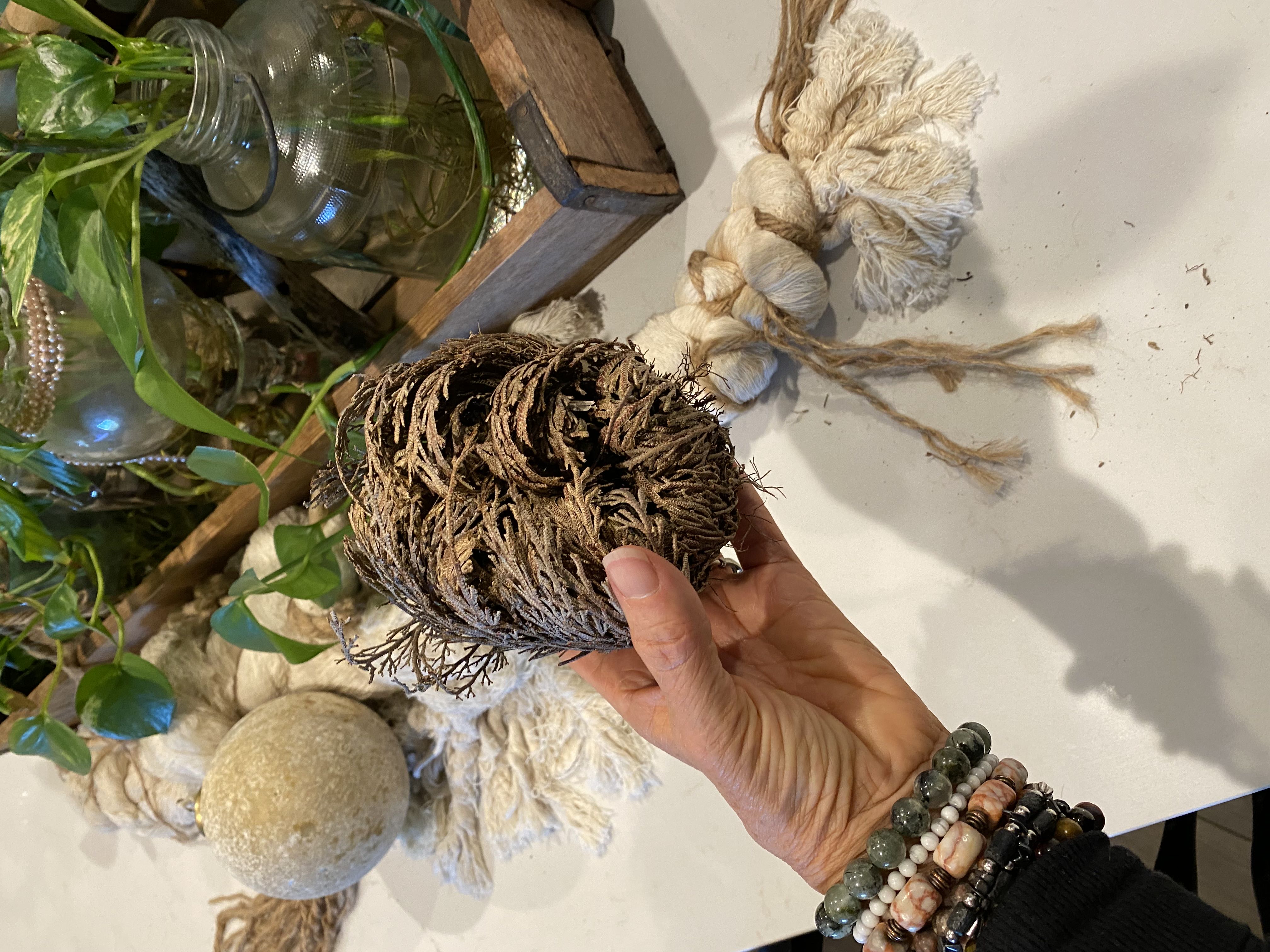 Photo from the post