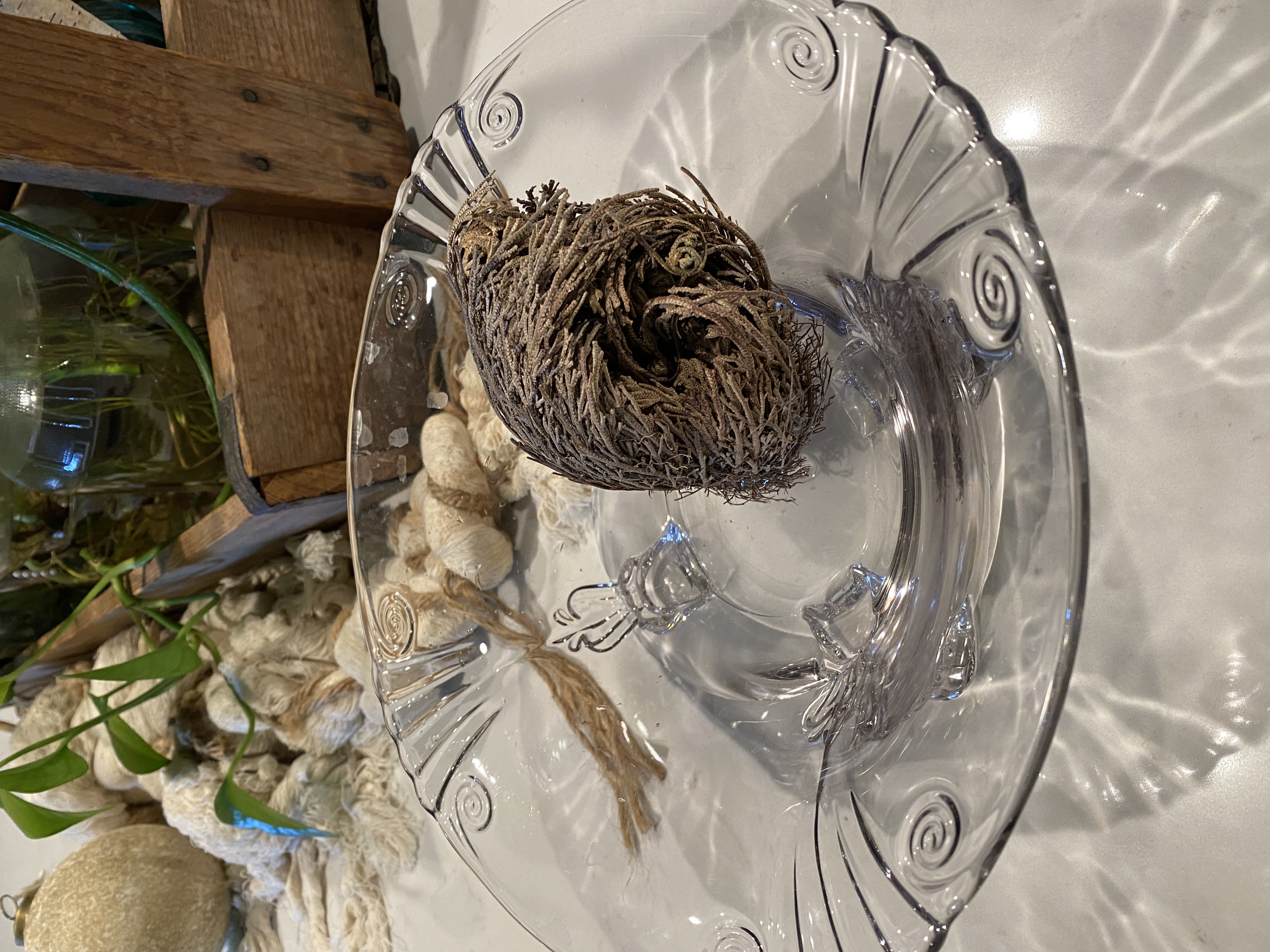 Photo from the post
