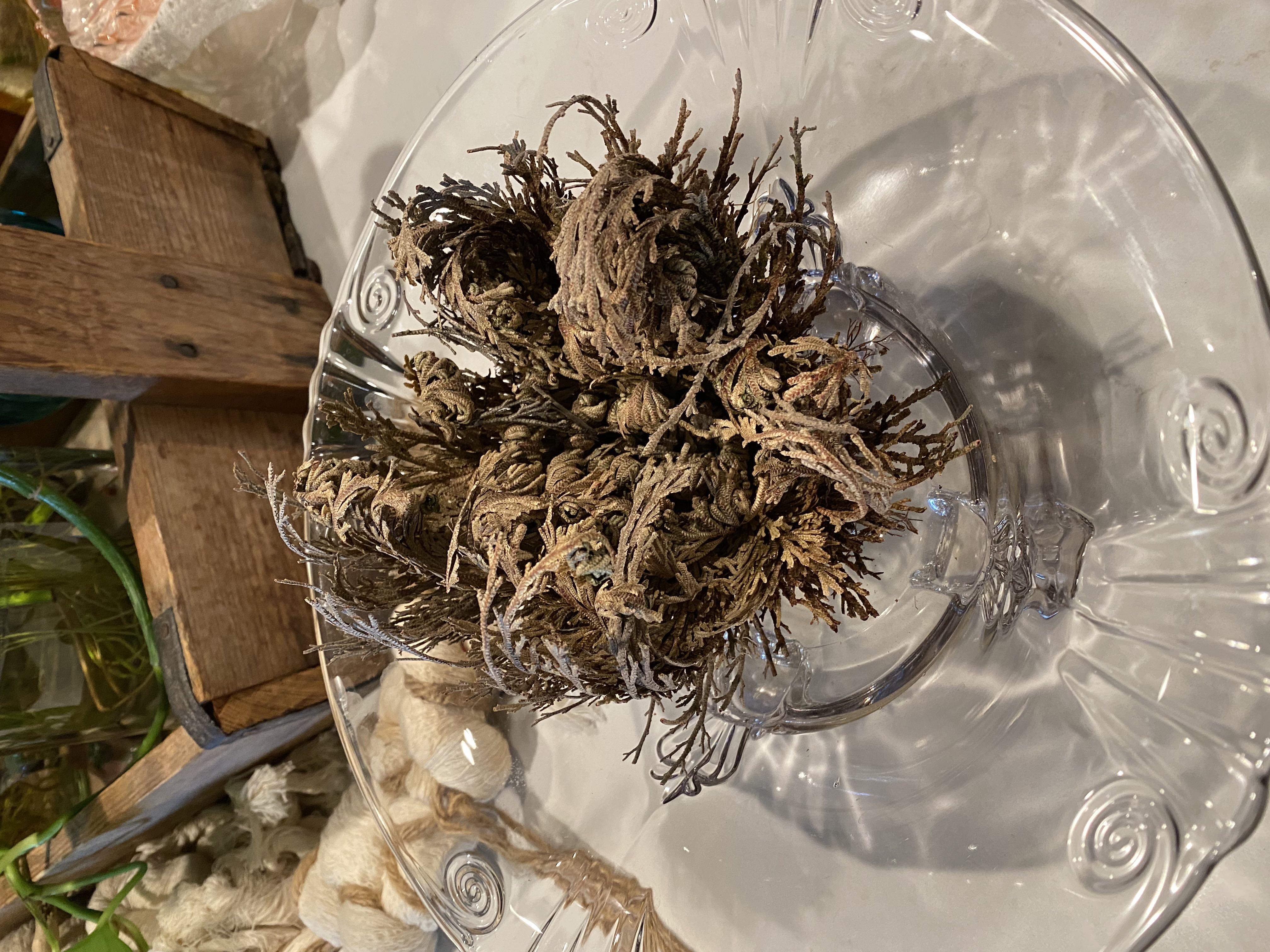 Photo from the post
