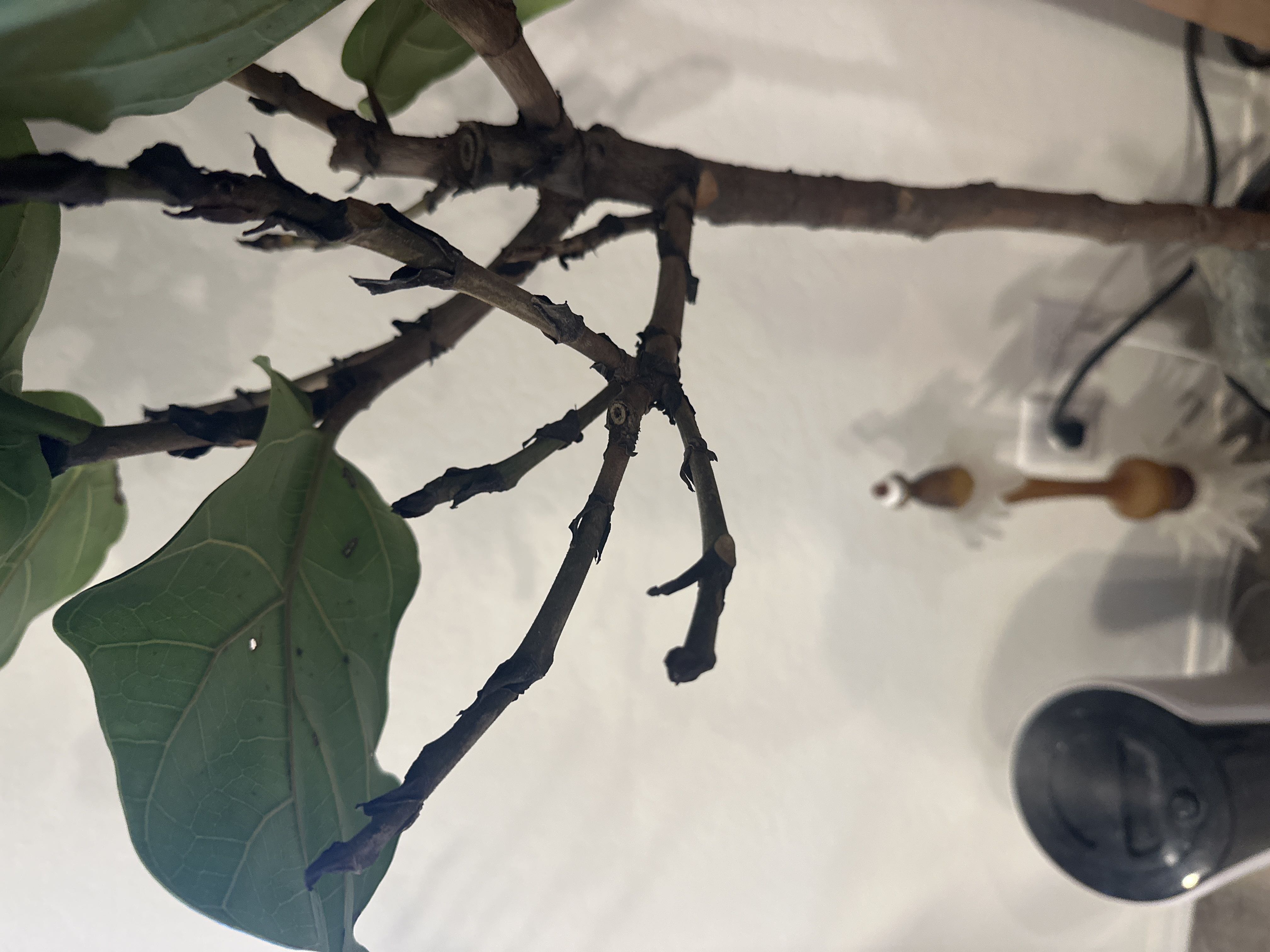 Photo from the post