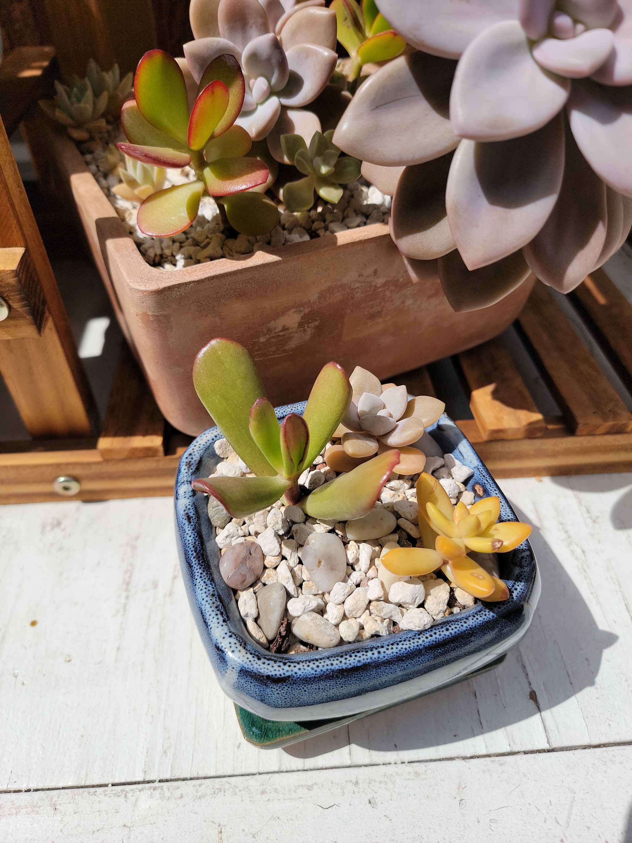 Photo from the post