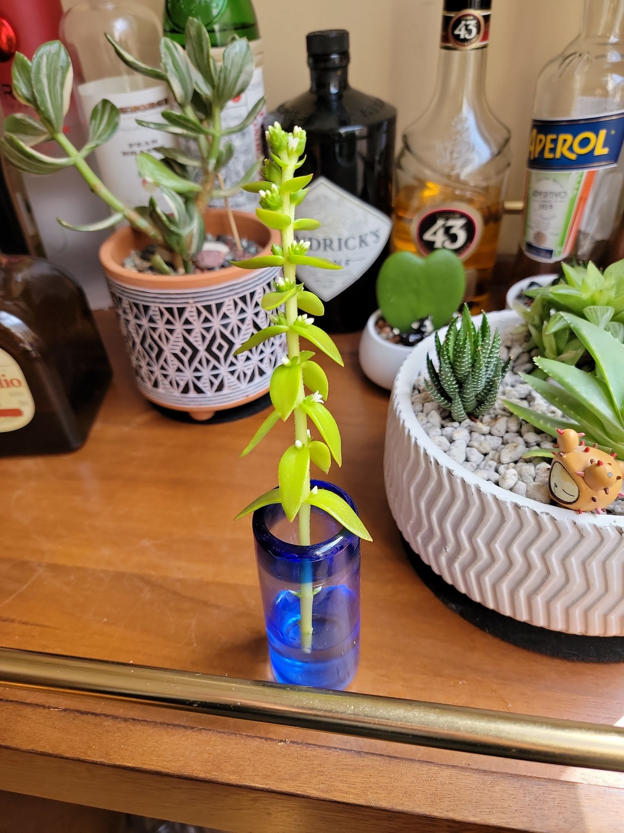 Photo from the post