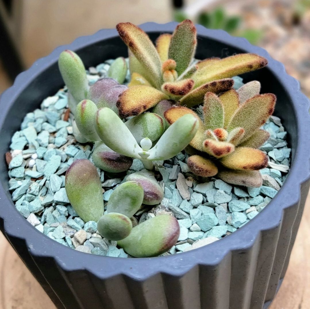 Photo from the post