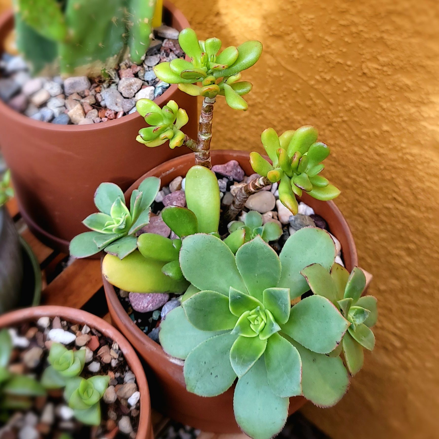 Photo from the post