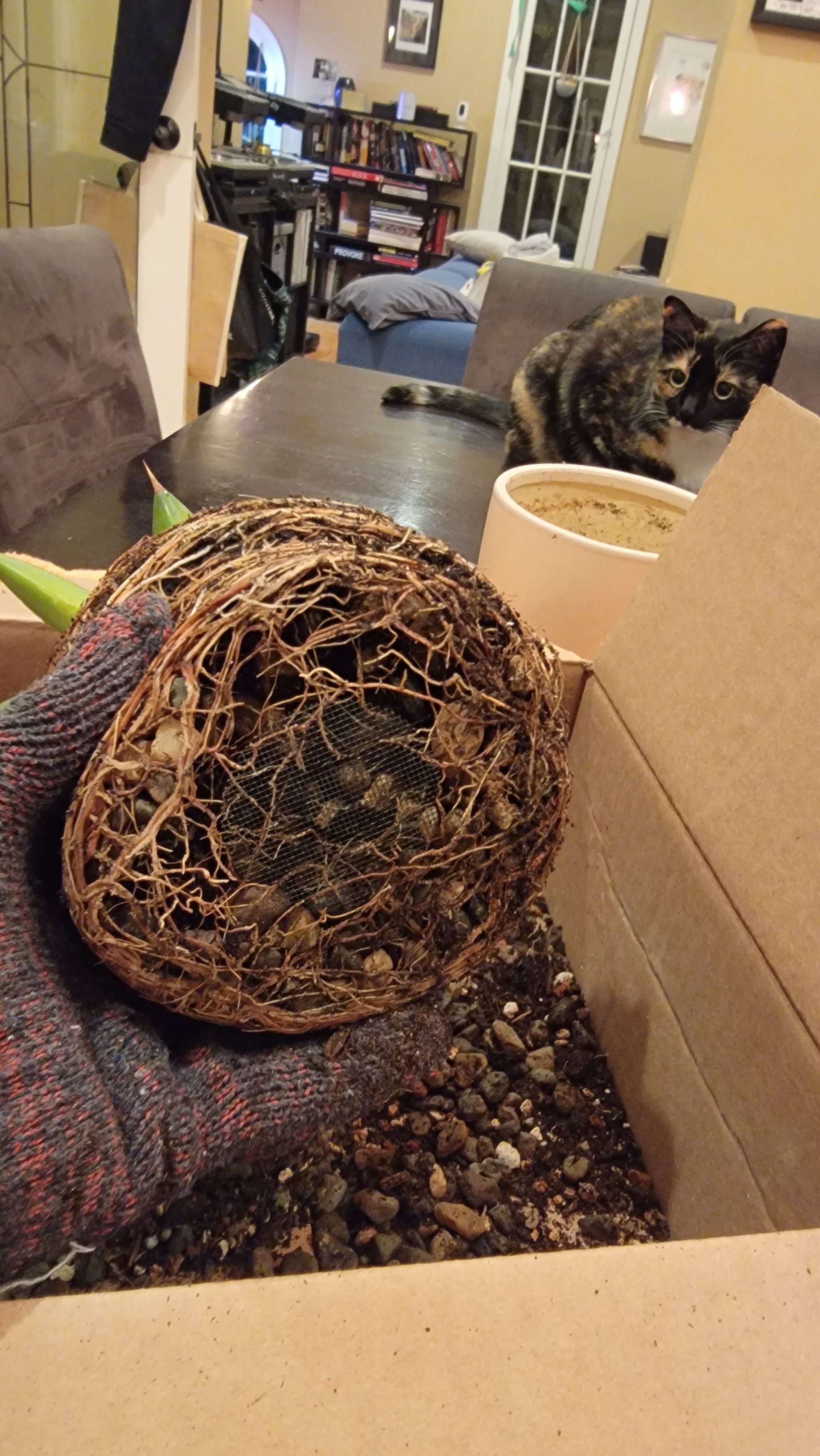 Photo from the post