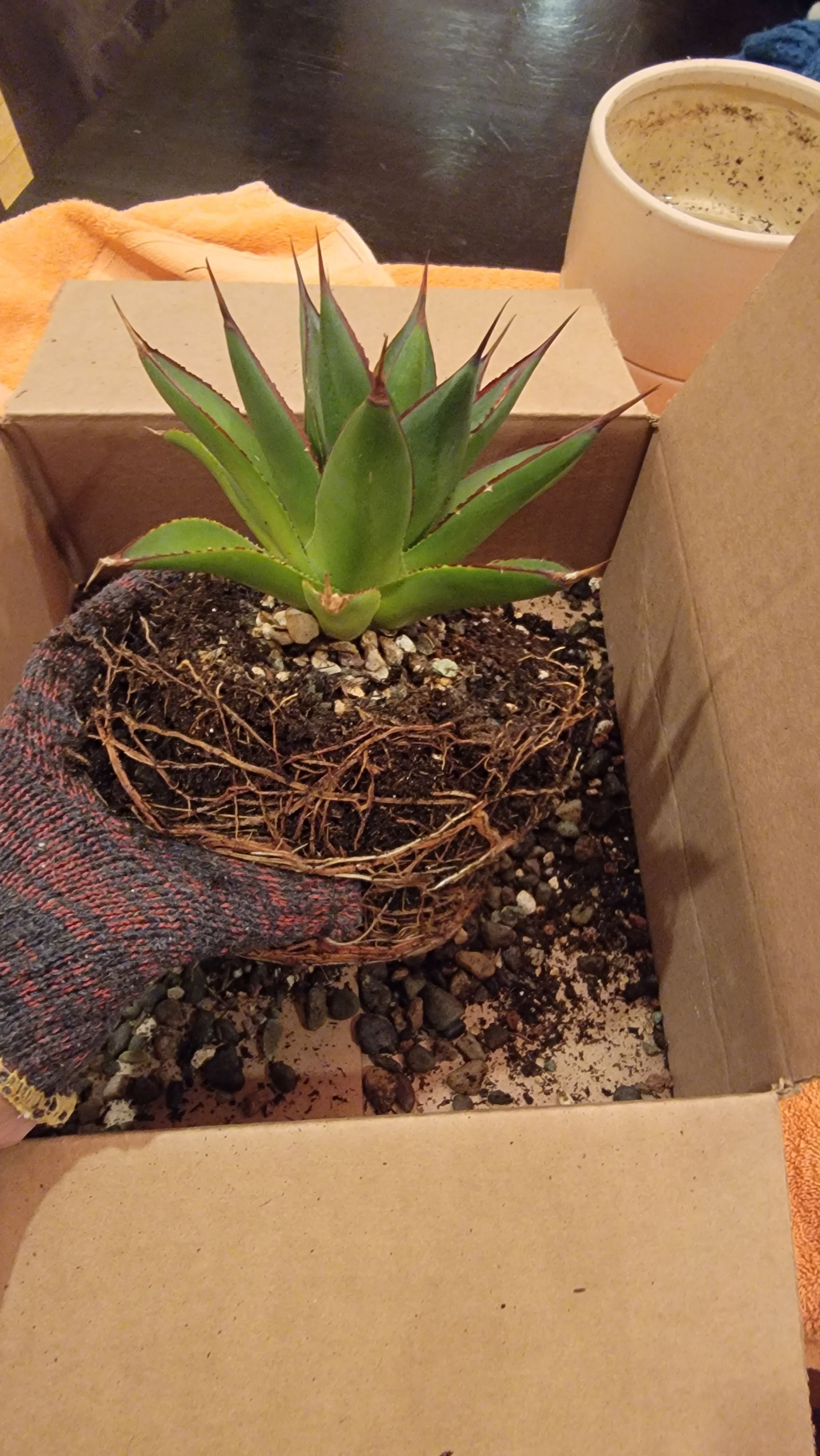Photo from the post