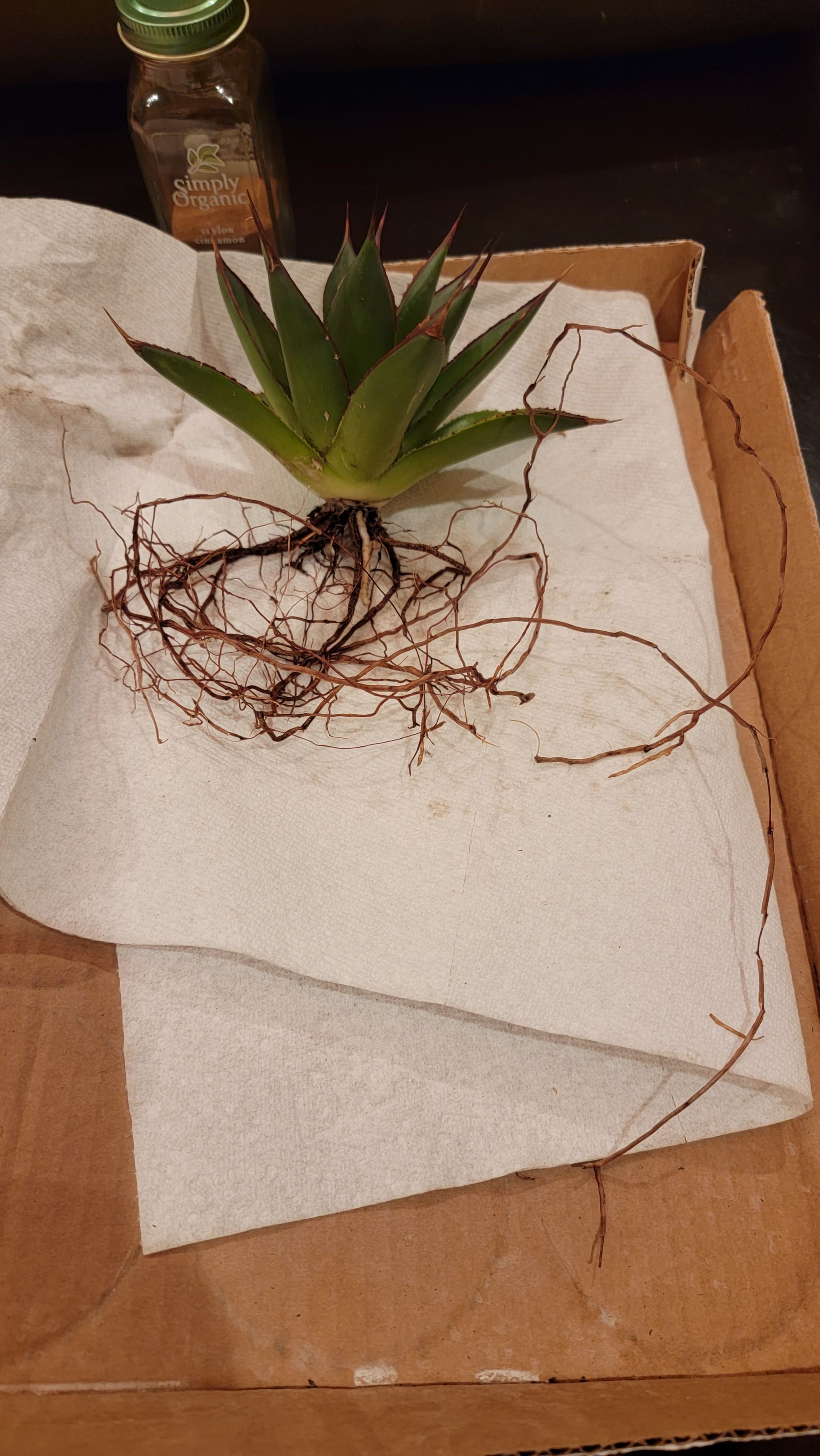 Photo from the post
