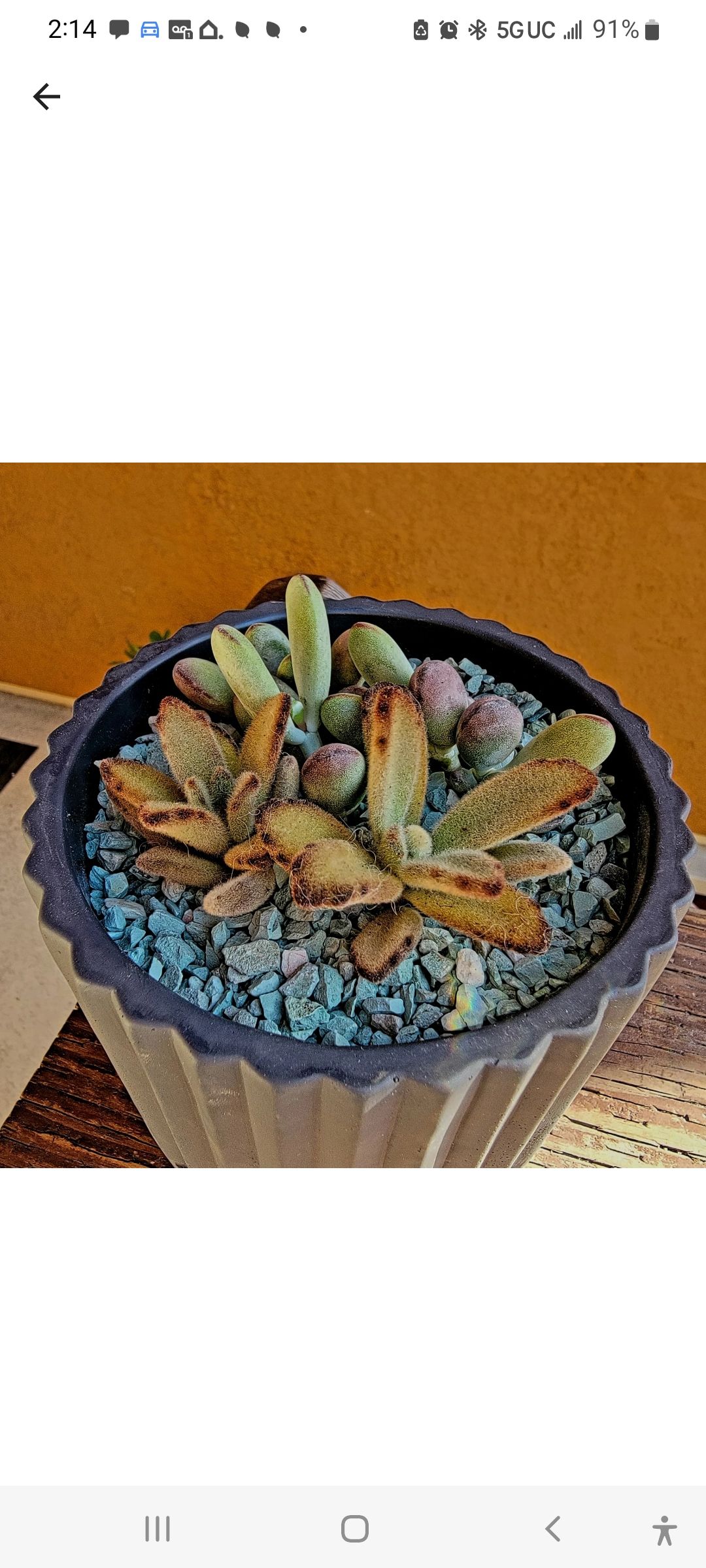 Photo from the post