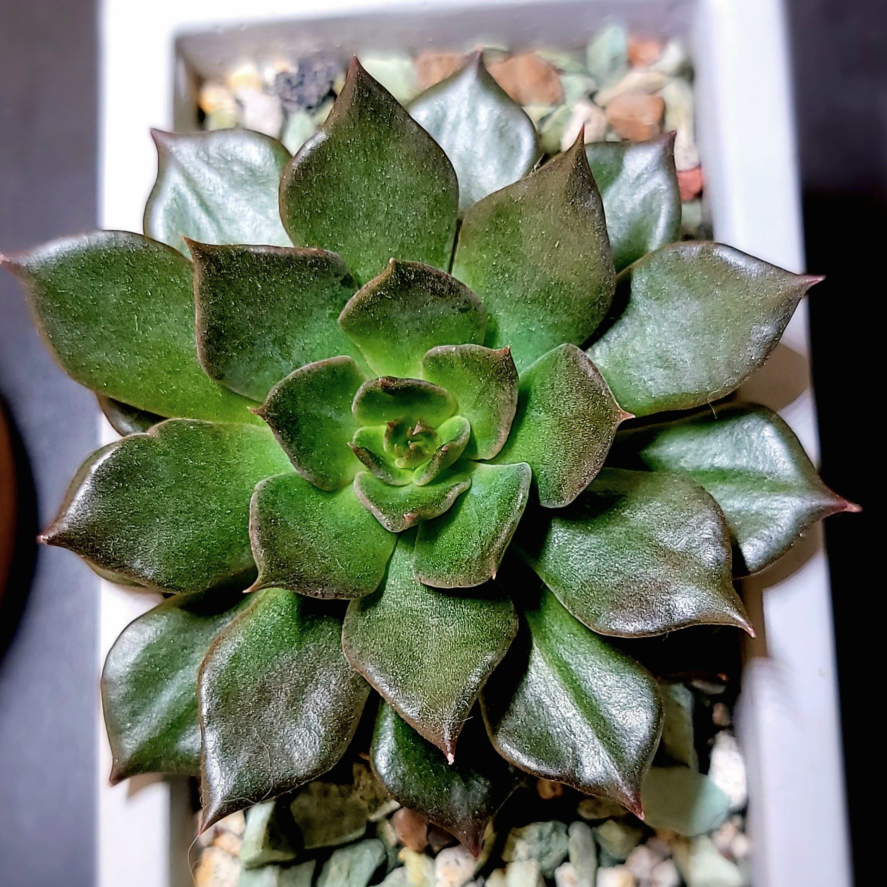 Photo from the post