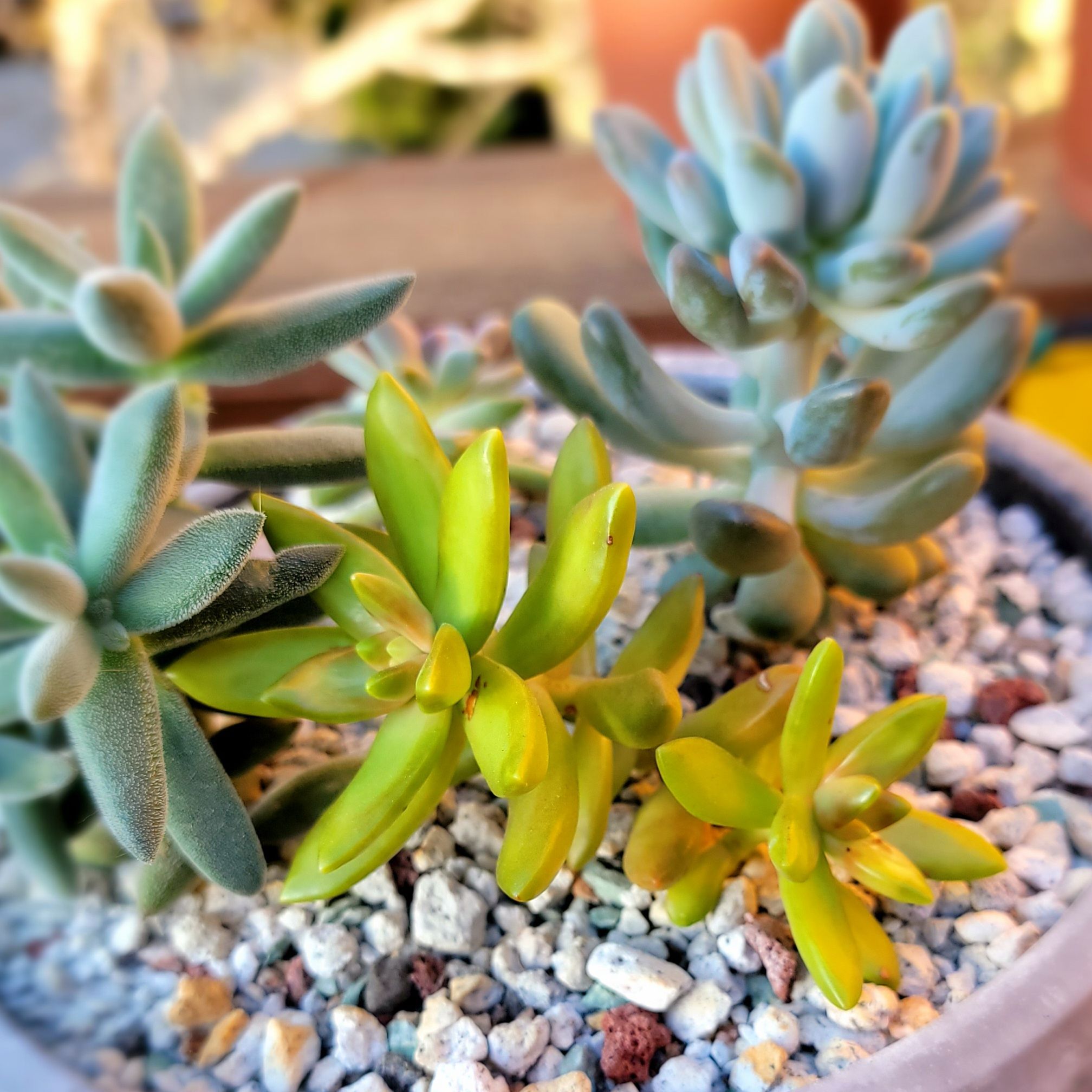 Photo from the post