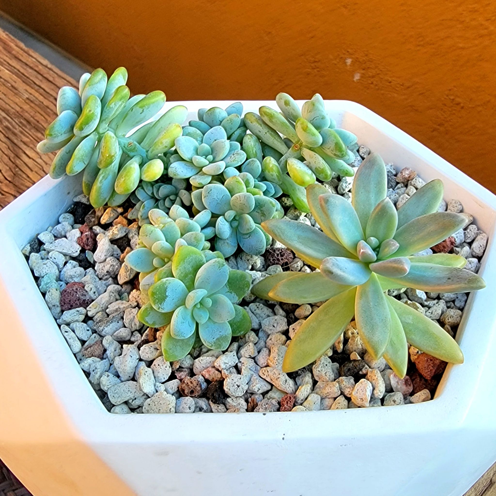 Photo from the post