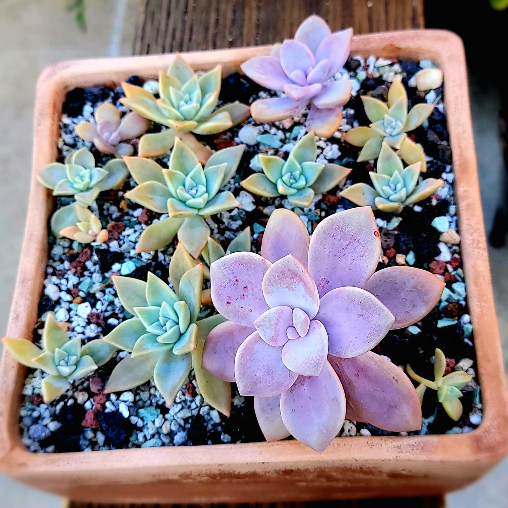 Photo from the post
