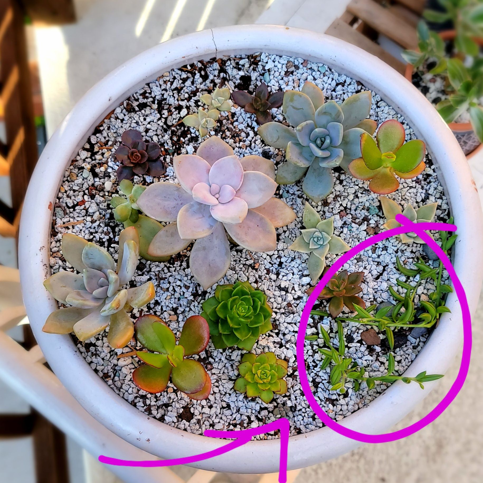 Photo from the post