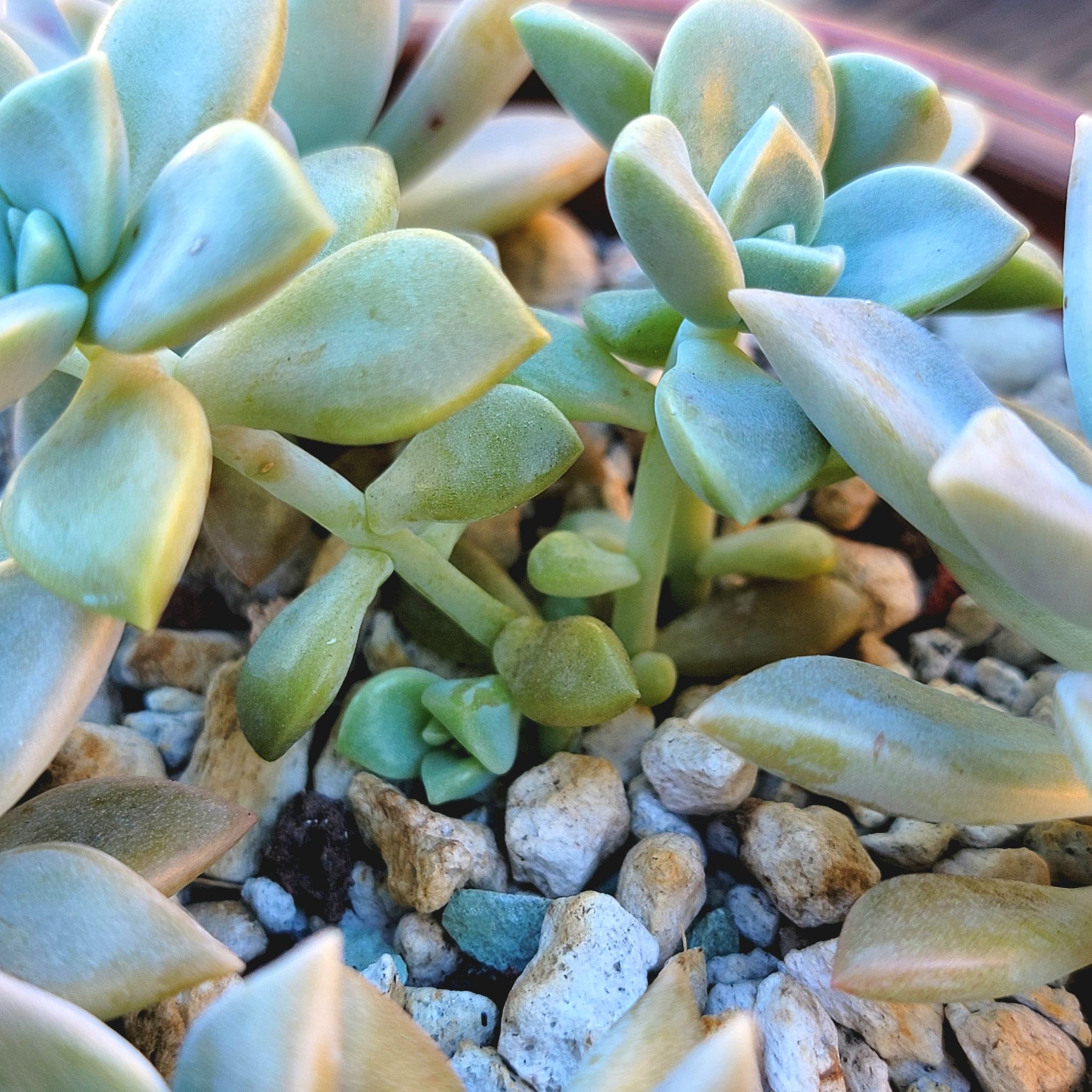 Photo from the post