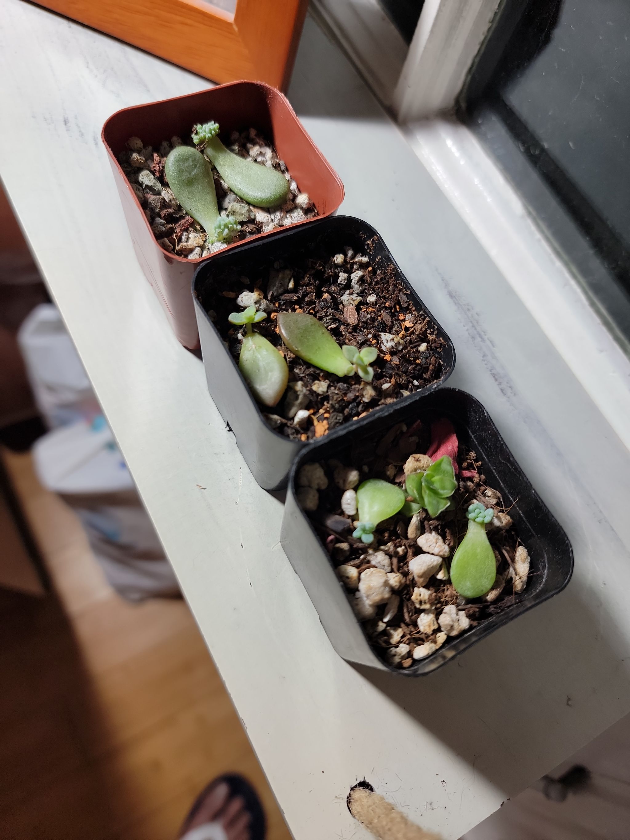 Photo from the post