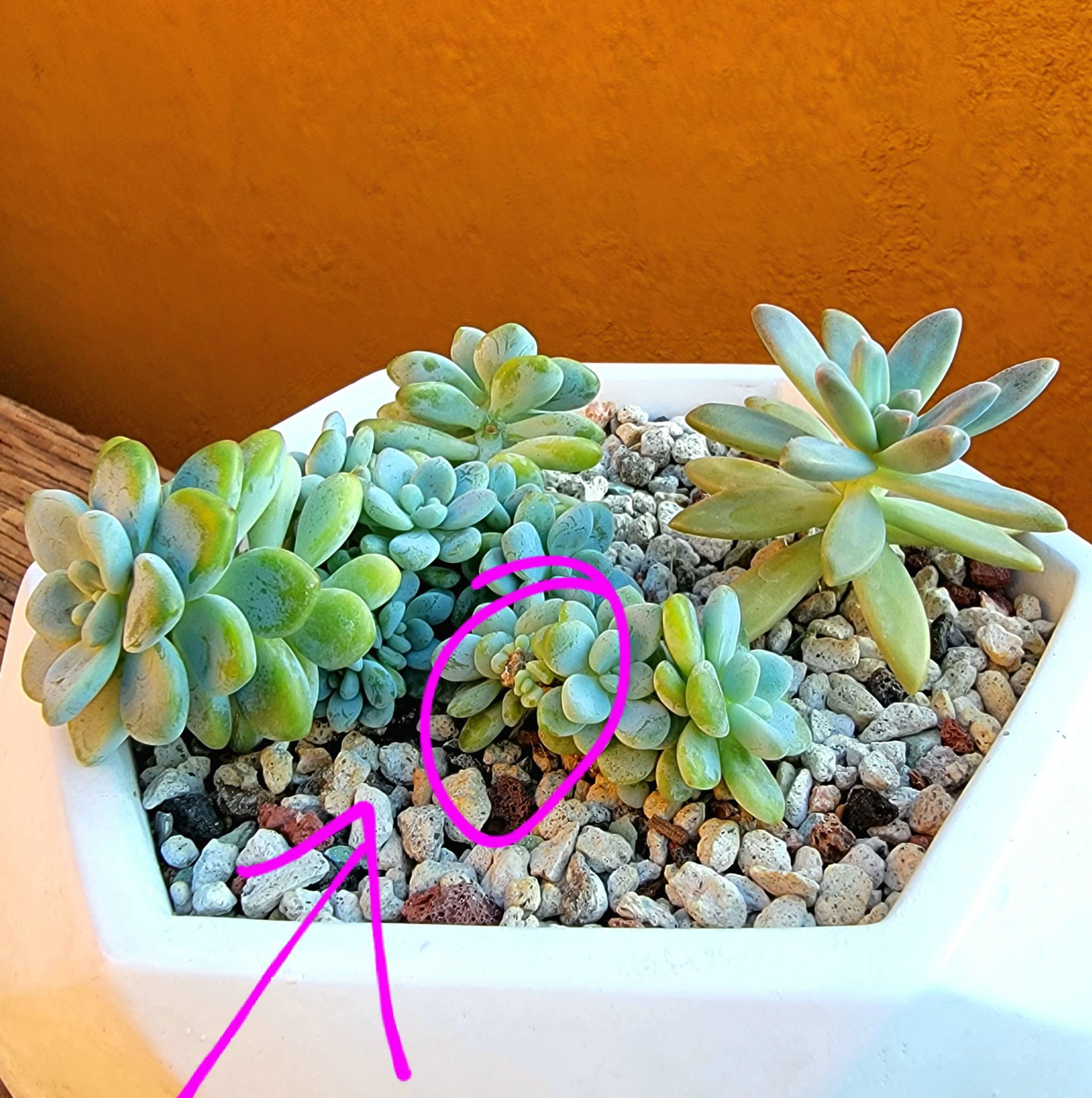 Photo from the post